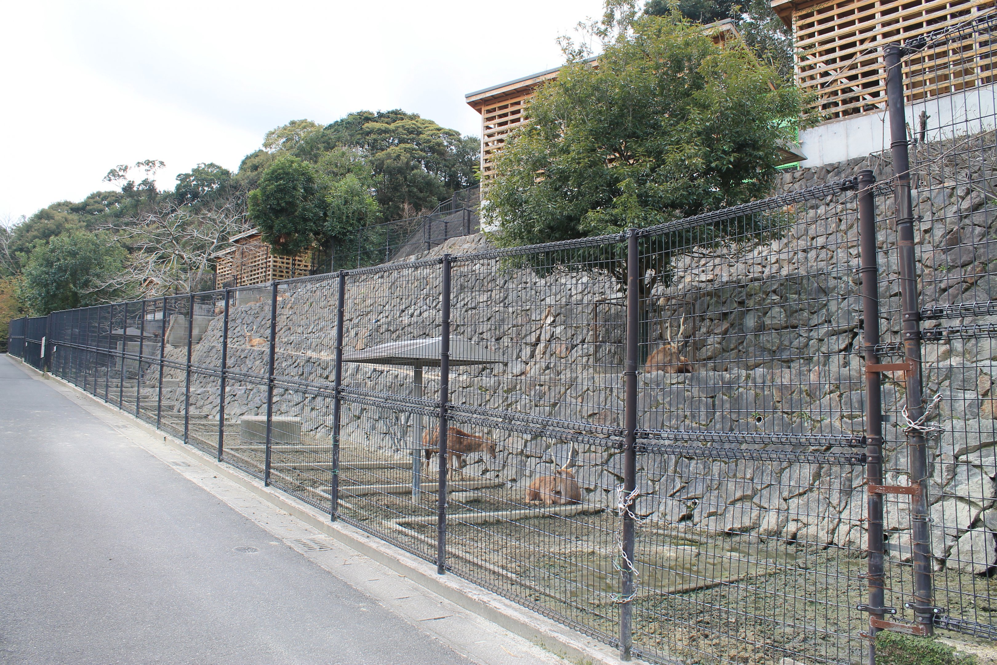 Deer enclosures - Hirakawa Zoo (Kagoshima)