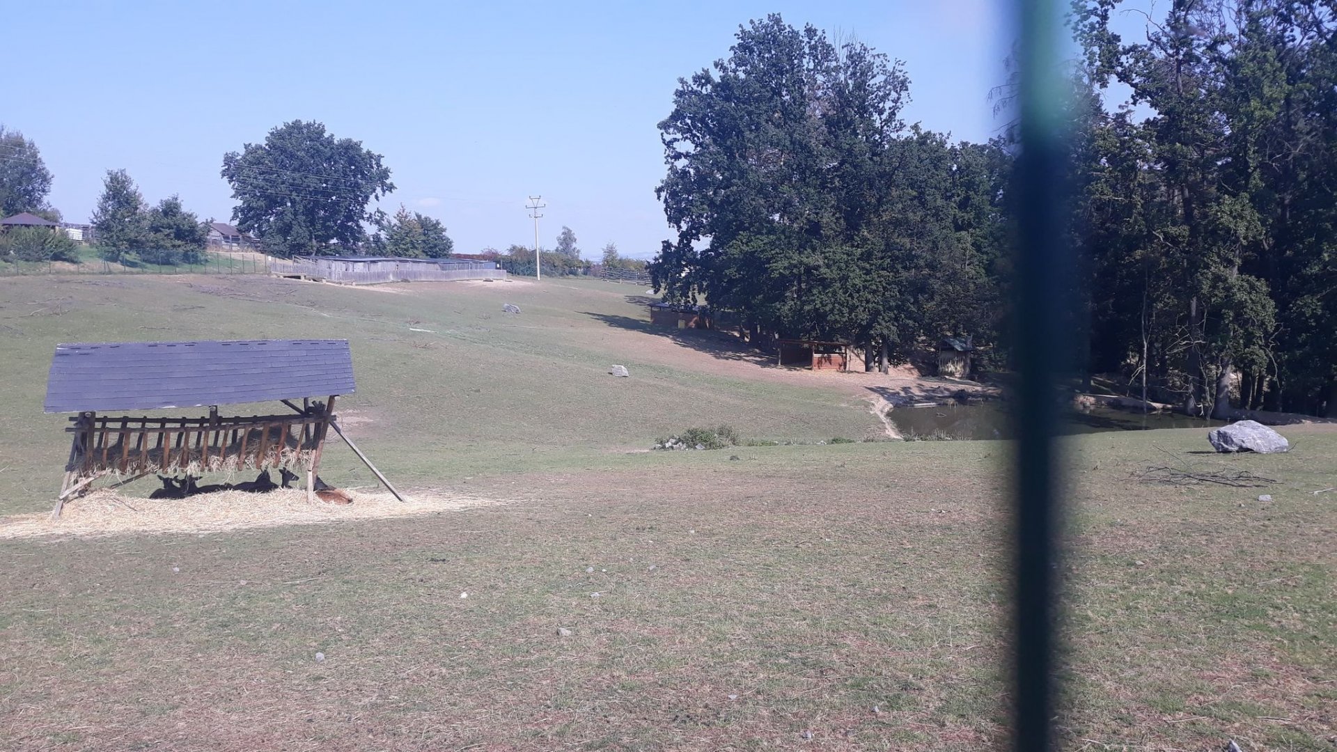 Deer exhibit - alternative view