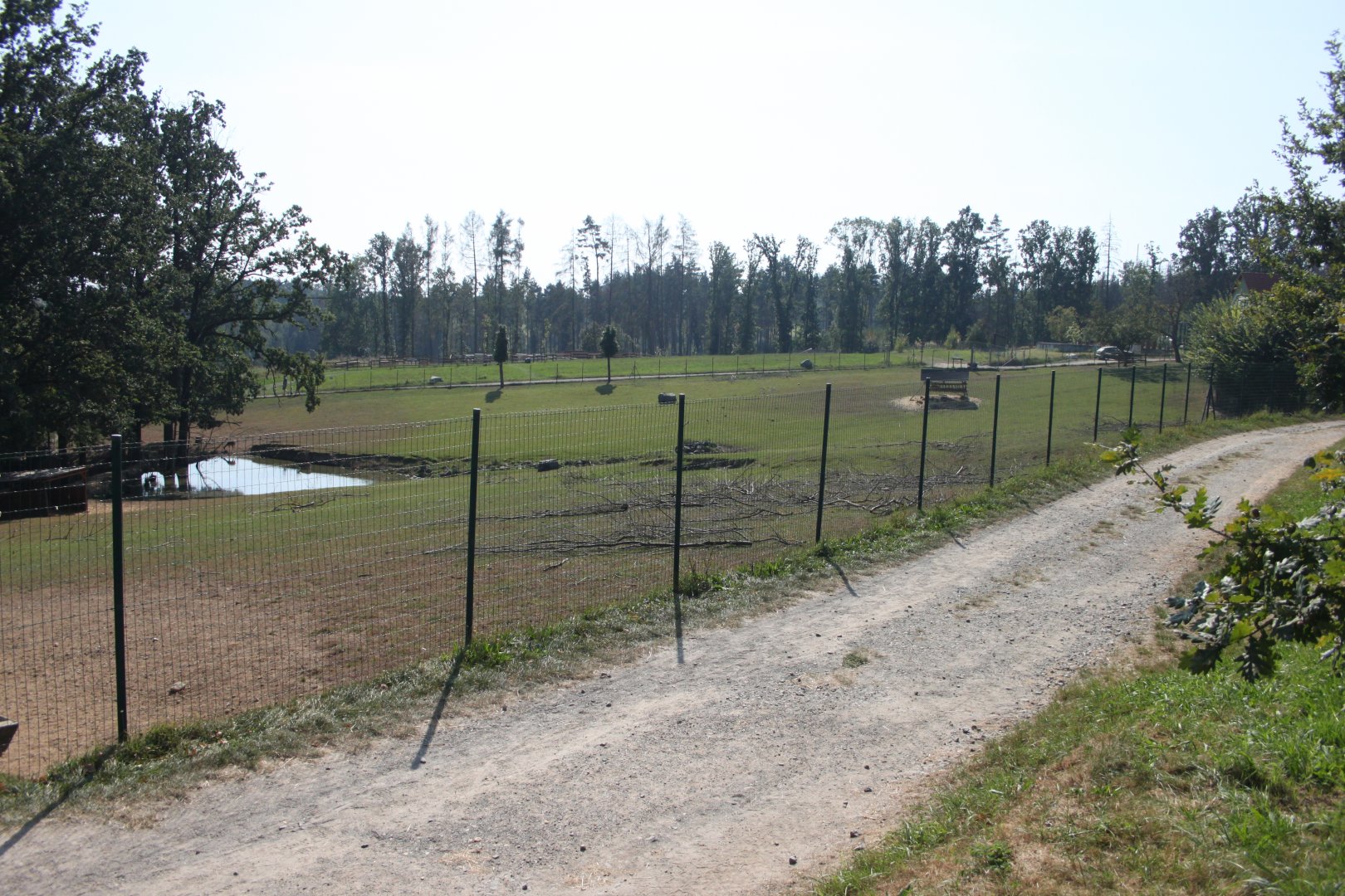 Deer exhibit - view from the owl aviaries