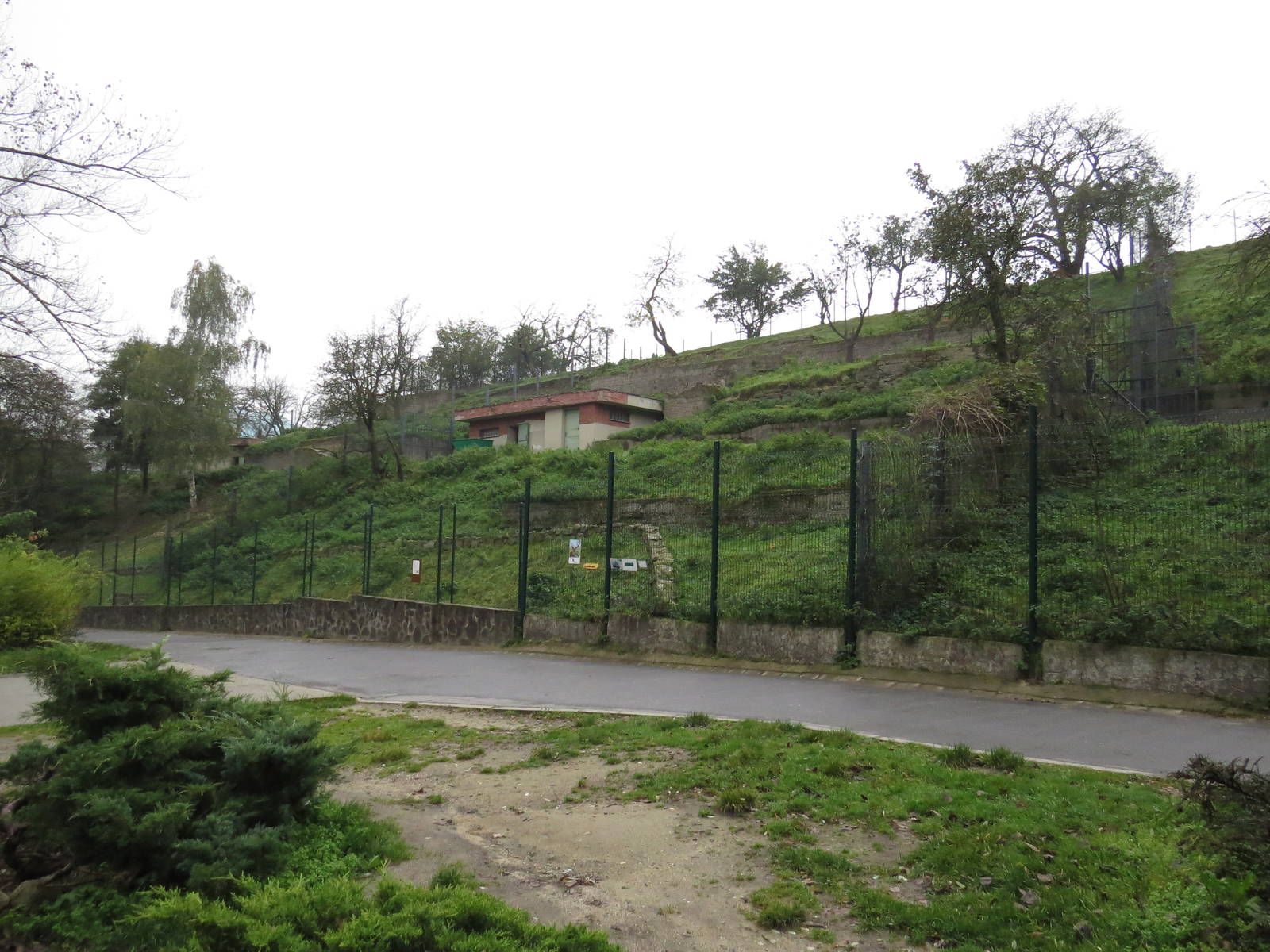 Deer/goat enclosures, October 2014.