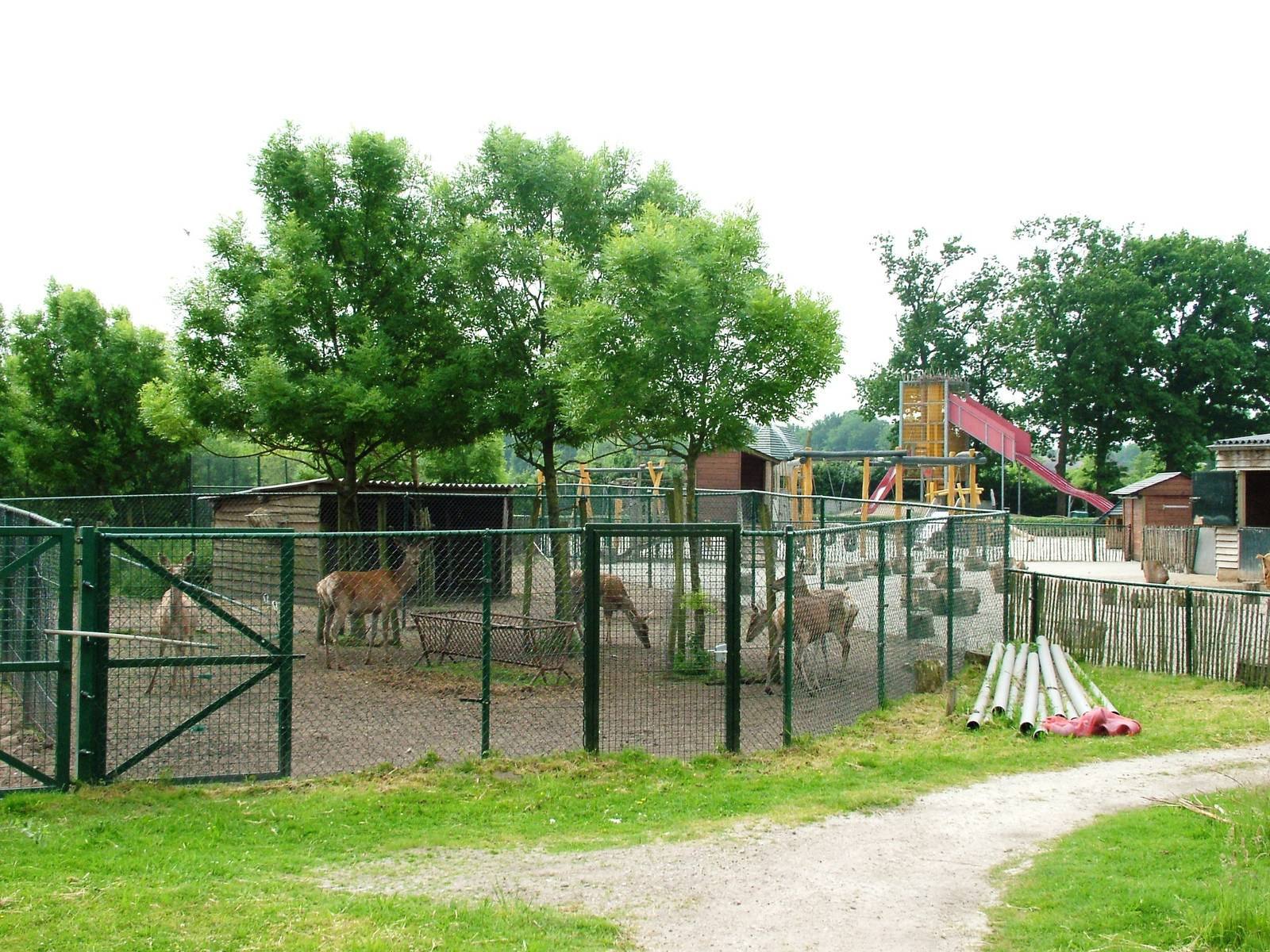Deer Hardstanding at Dierenrijk, 31/05/12