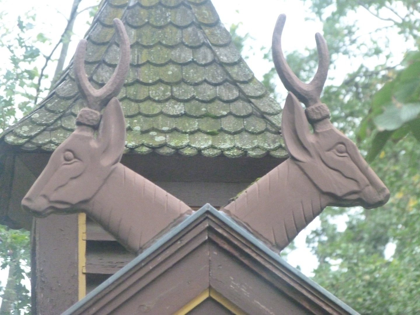 Deer house decor -Zoologischer Garten Berlin (2024)