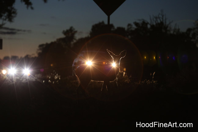 deer in the headlights