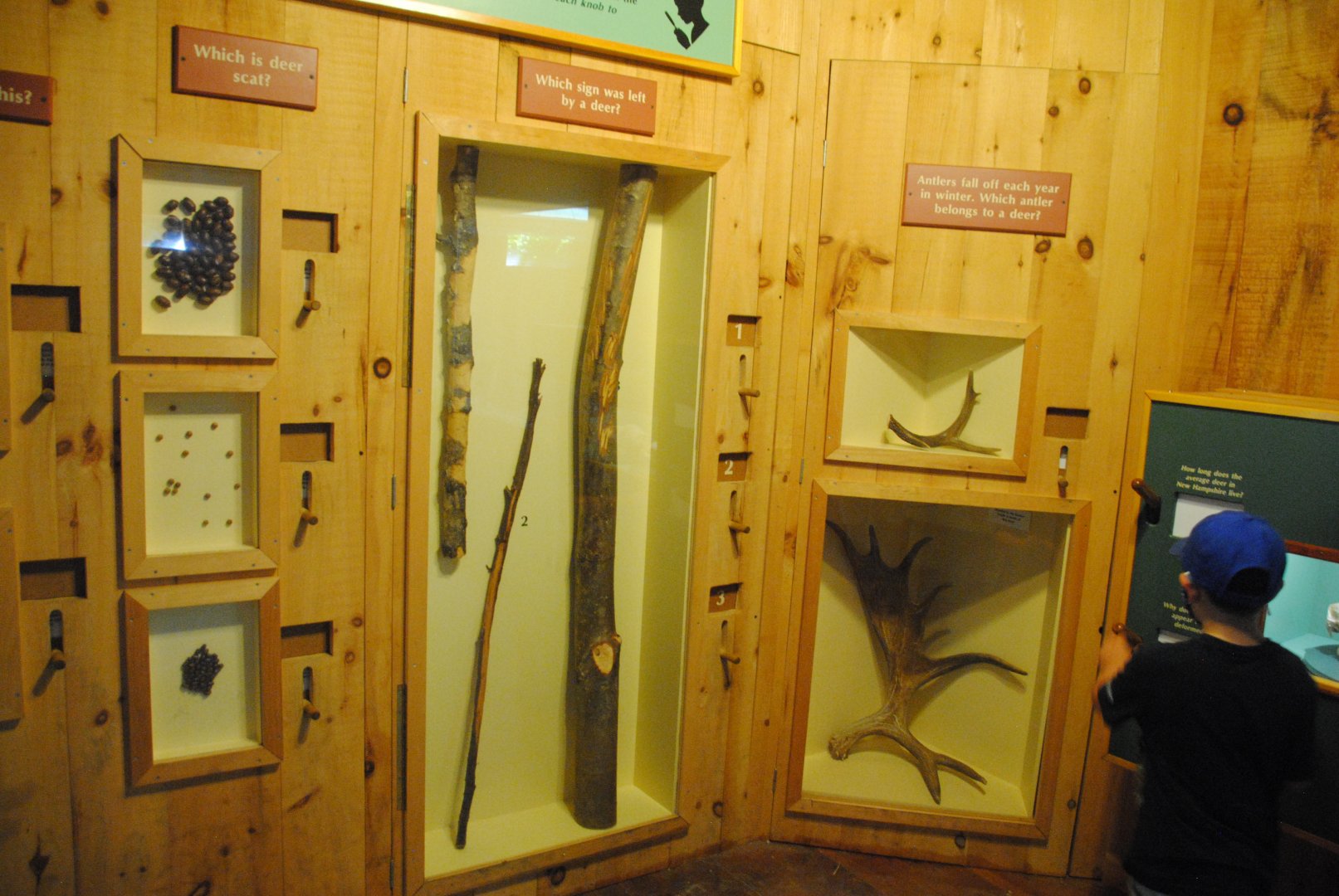 Deer interpretive materials