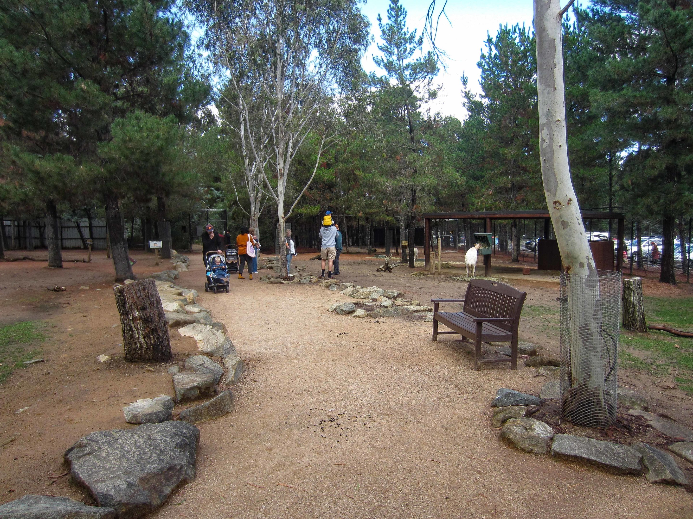 Deer & Llama walkthrough