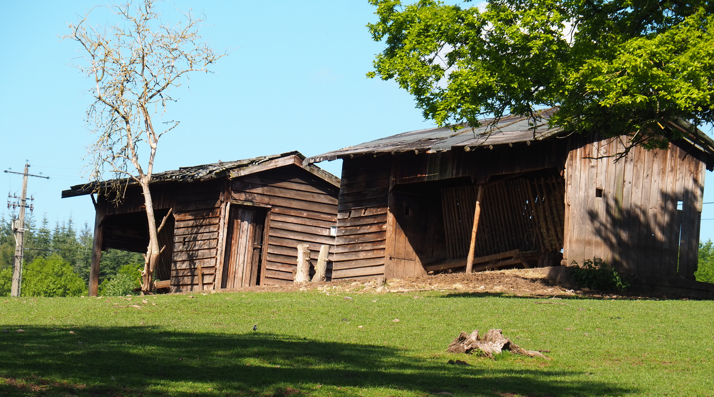 Deer/mouflon feeding racks and storage sheds, 2021-05-29