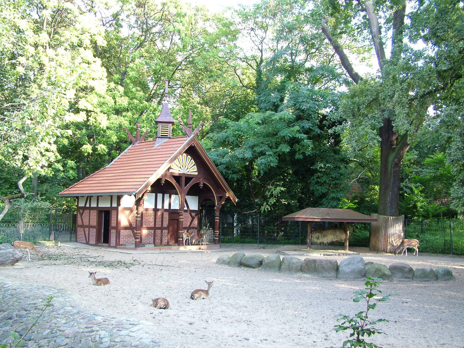 Deer Paddock at Berlin Zoo, 31/08/11