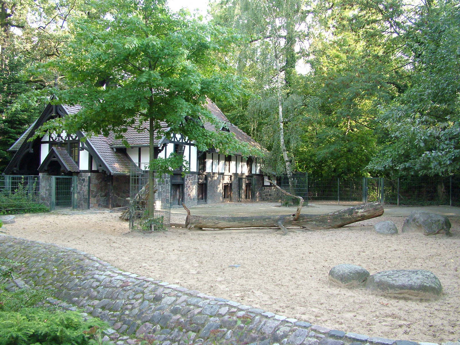 Deer Paddock at Berlin Zoo, 31/08/11