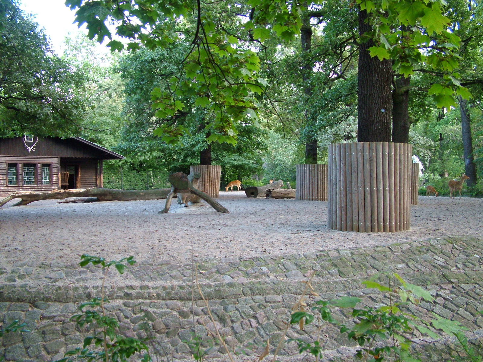 Deer Paddock at Berlin Zoo, 31/08/11