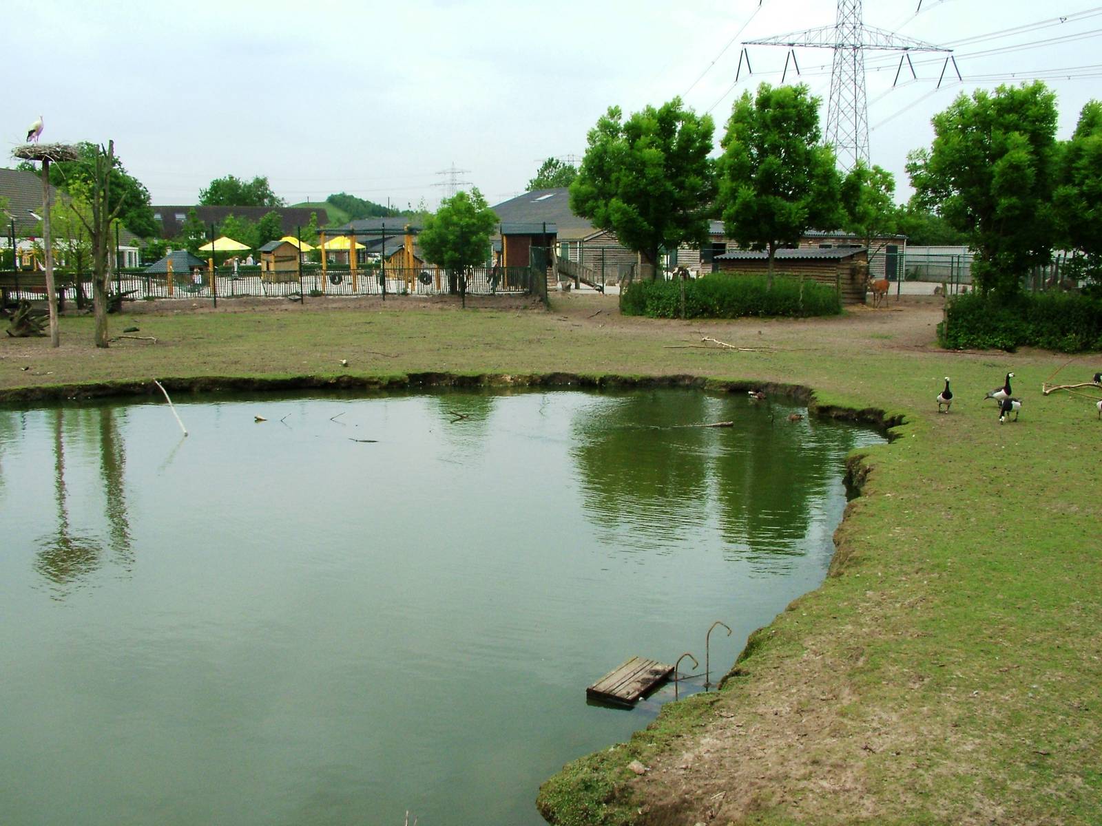 Deer Paddock at Dierenrijk, 31/05/12