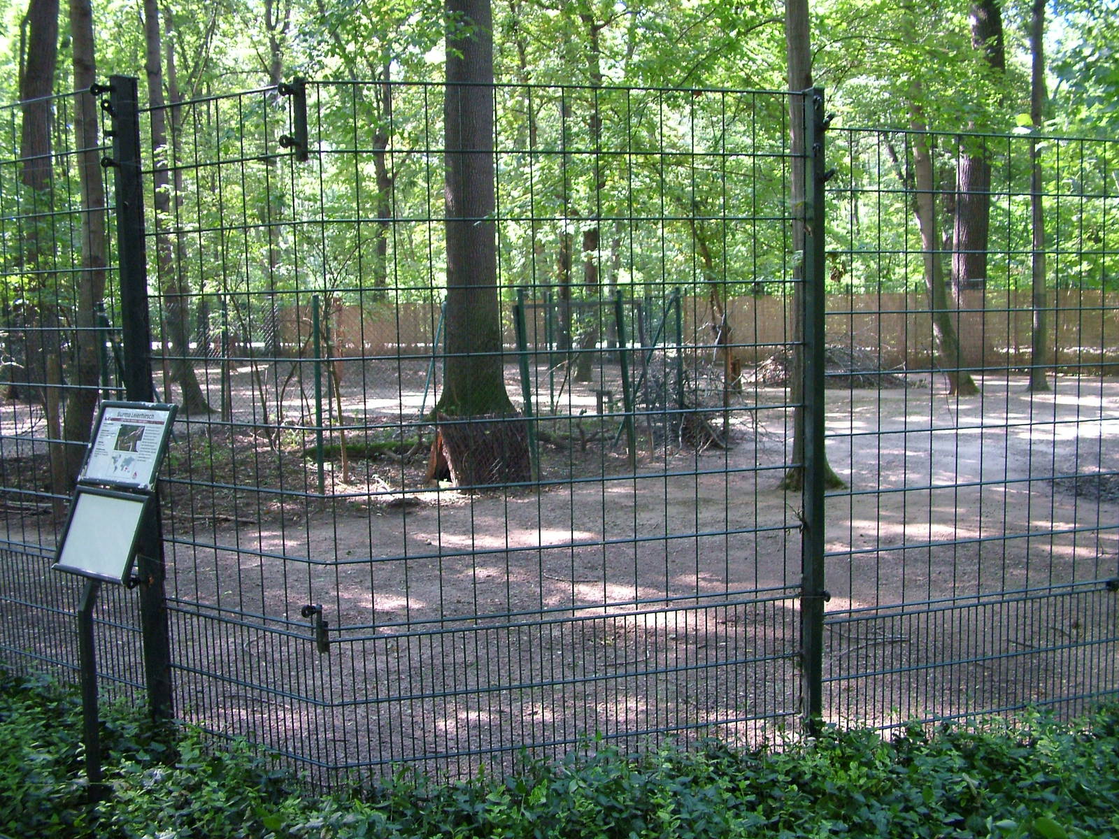 Deer Paddock at Leipzig, 02/09/11