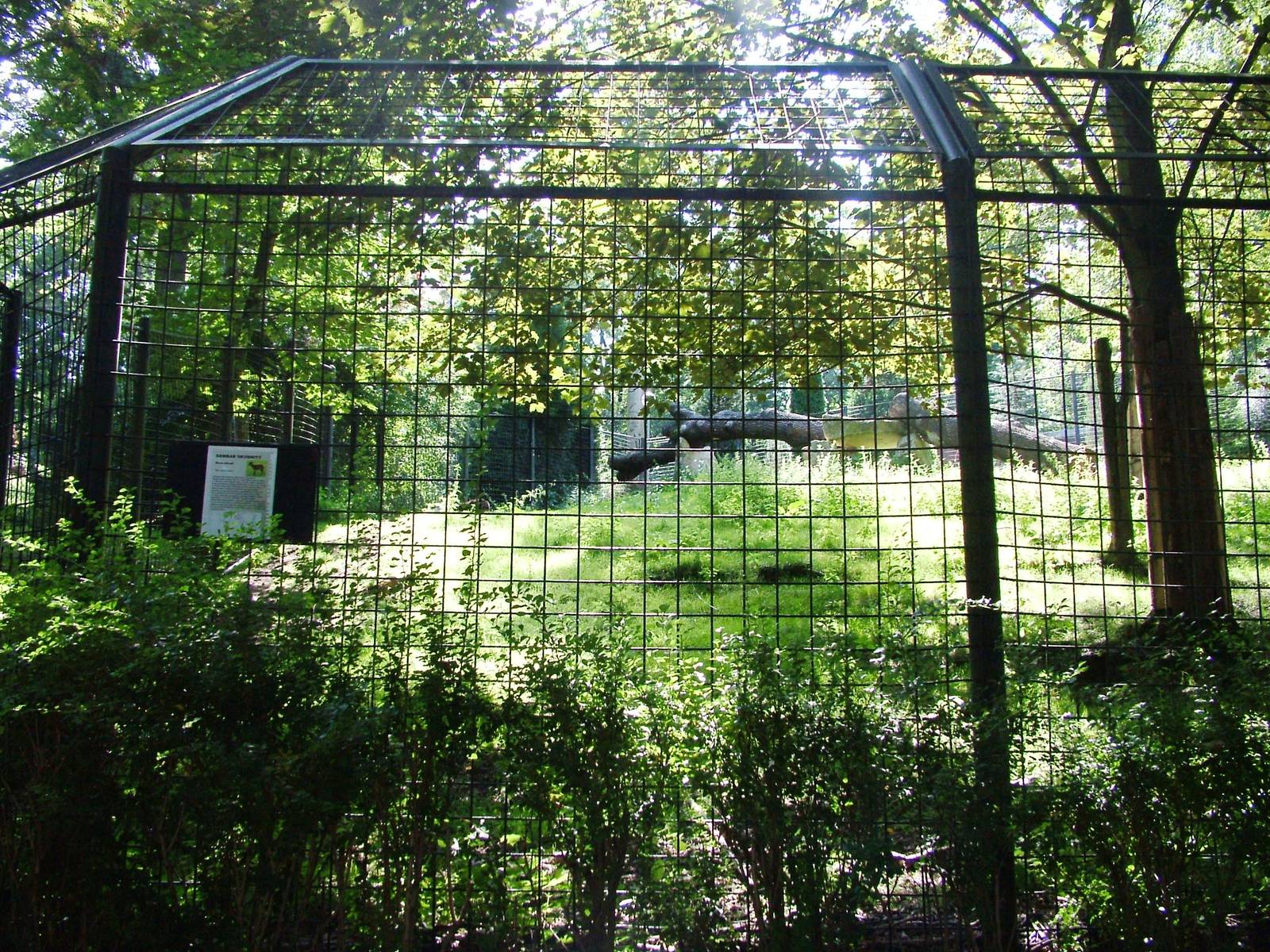 Deer Paddock at Liberec, 28/08/12