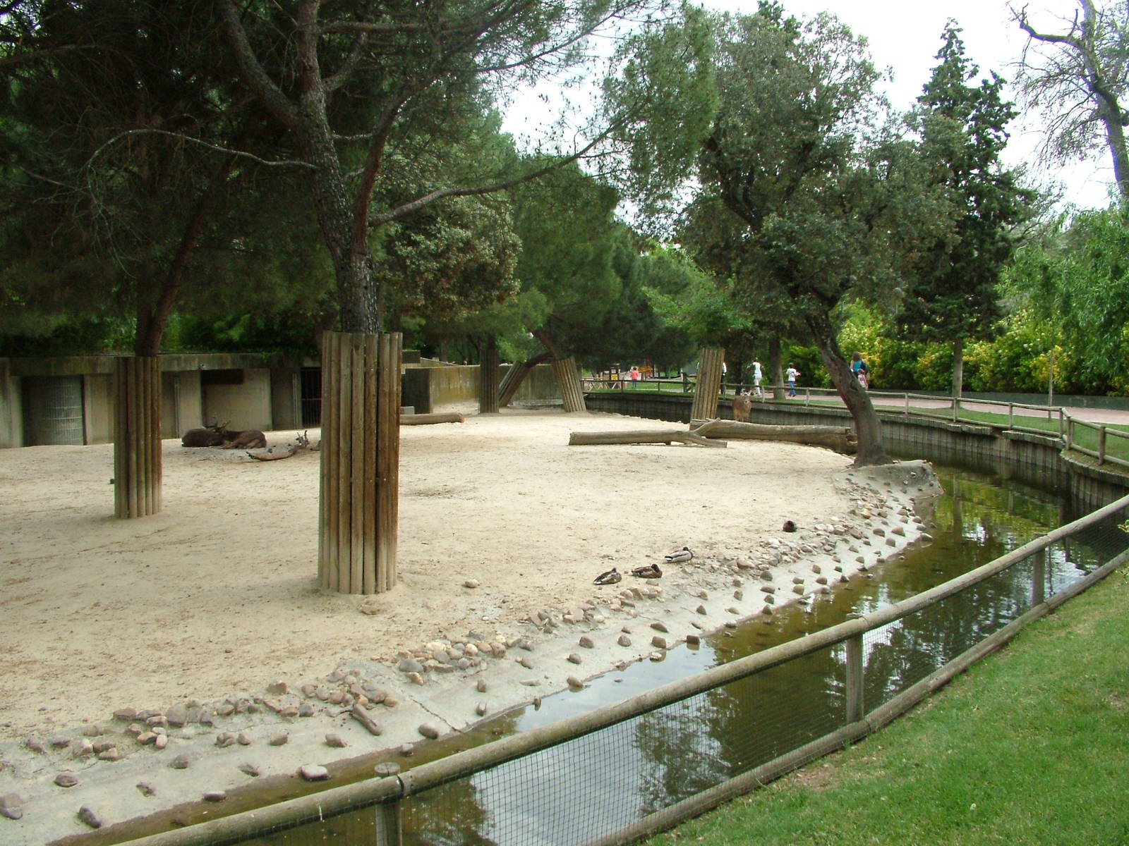 Deer Paddock at Madrid Zoo Aquarium, 26/05/11