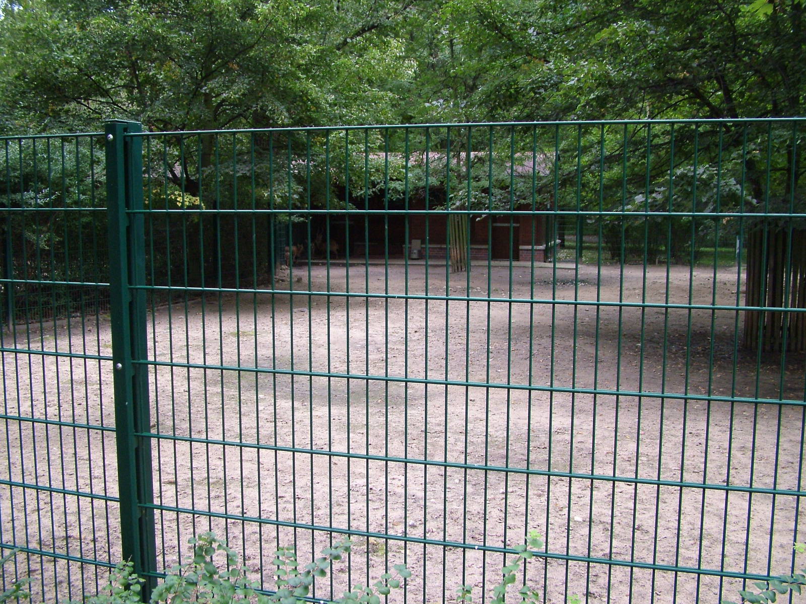 Deer Paddock at Tierpark Berlin, 30/08/11