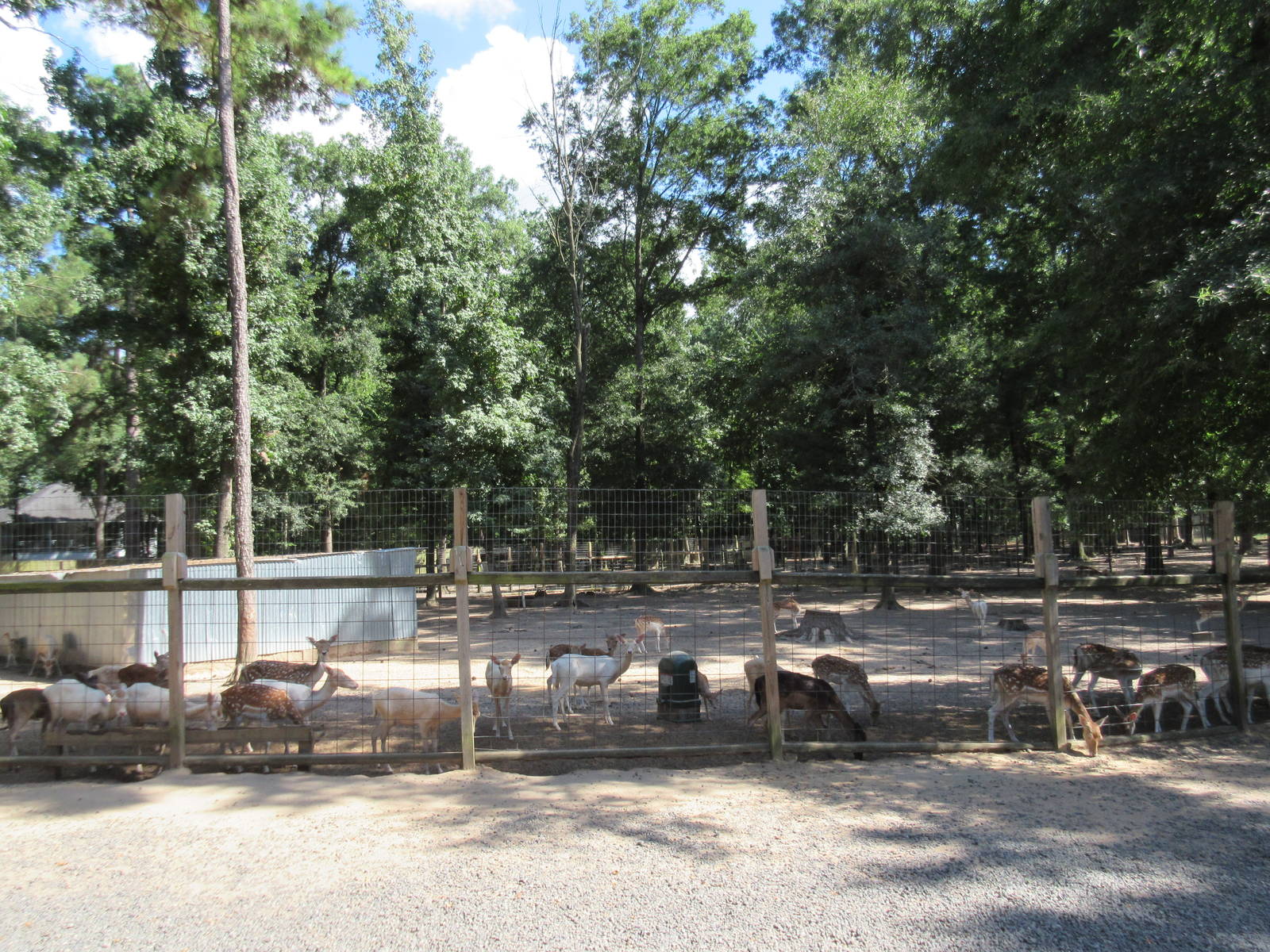 Deer Paddock