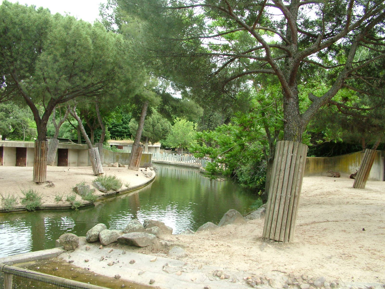 Deer Paddocks at Madrid Zoo Aquarium, 26/05/11