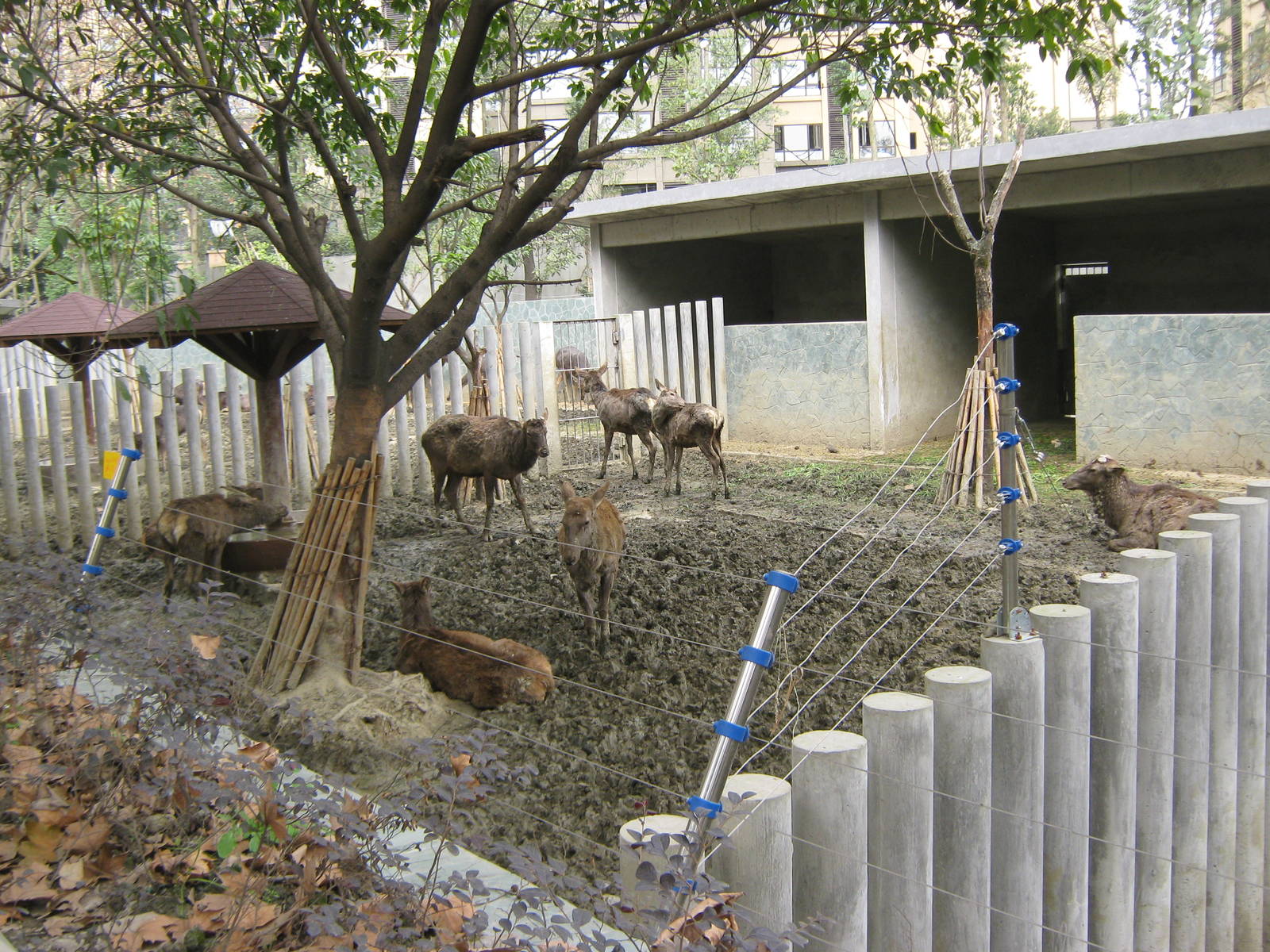deer pens