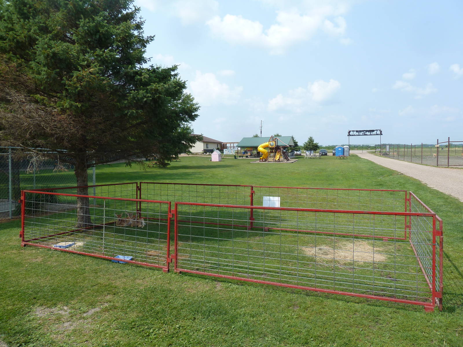 Deer Petting Yard