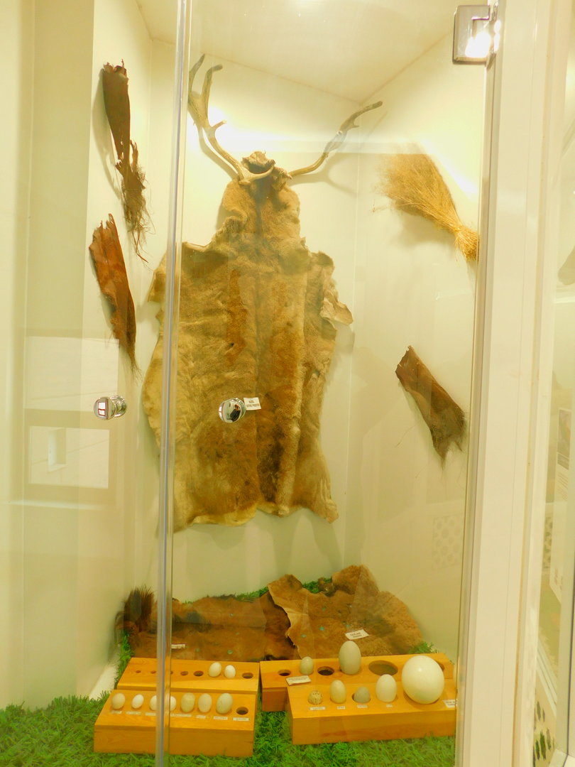 Deer Skin and Eggs at the Karatay Zoo