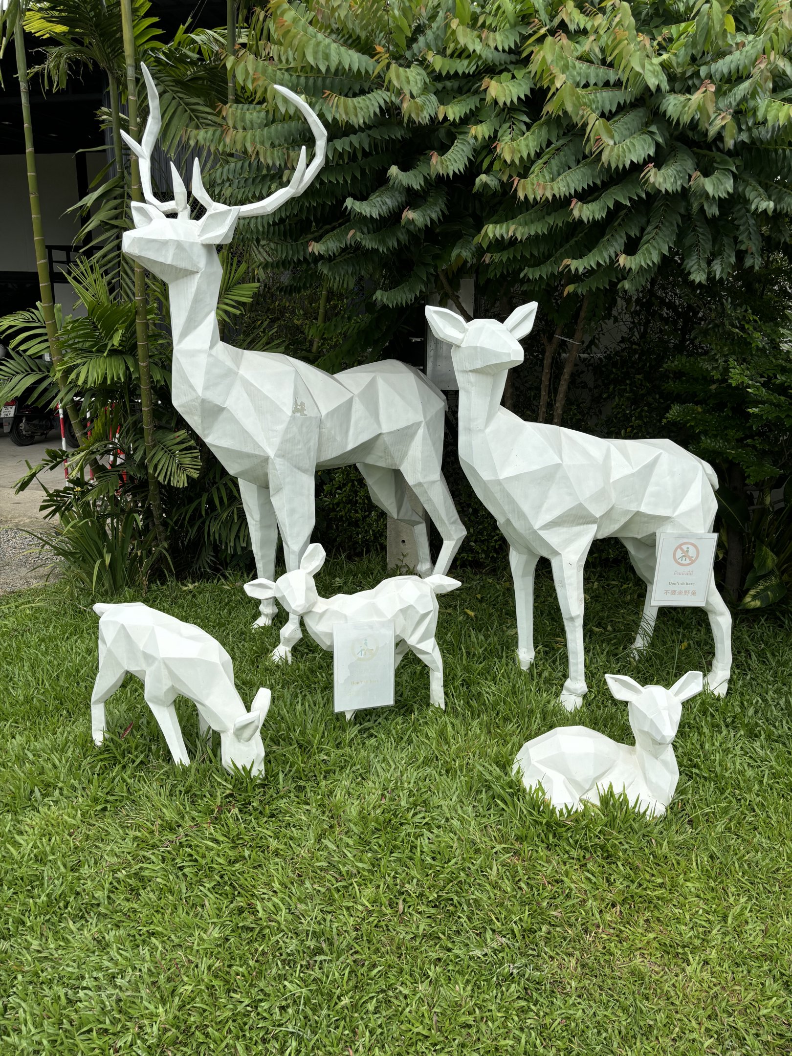 Deer Statues - Lanna Mini Zoo
