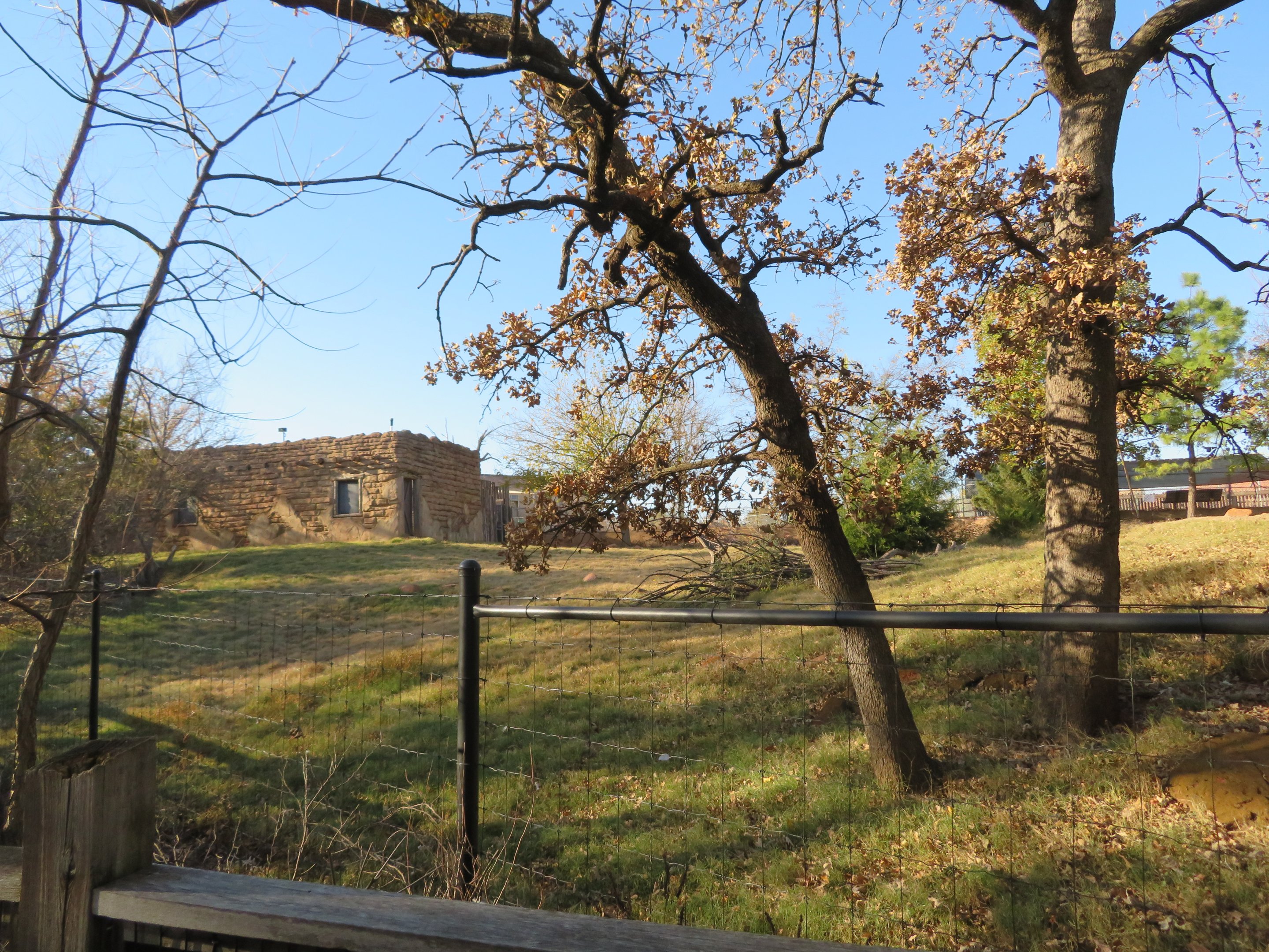 Deer/Trumpeter Swan Exhibit