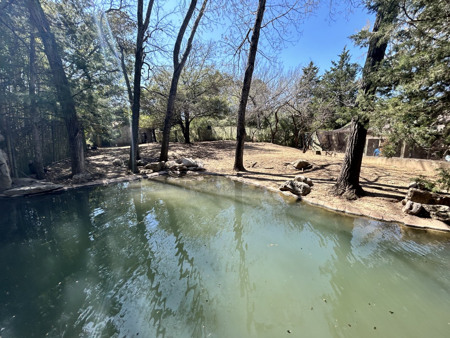 Deer/Turkey Enclosure