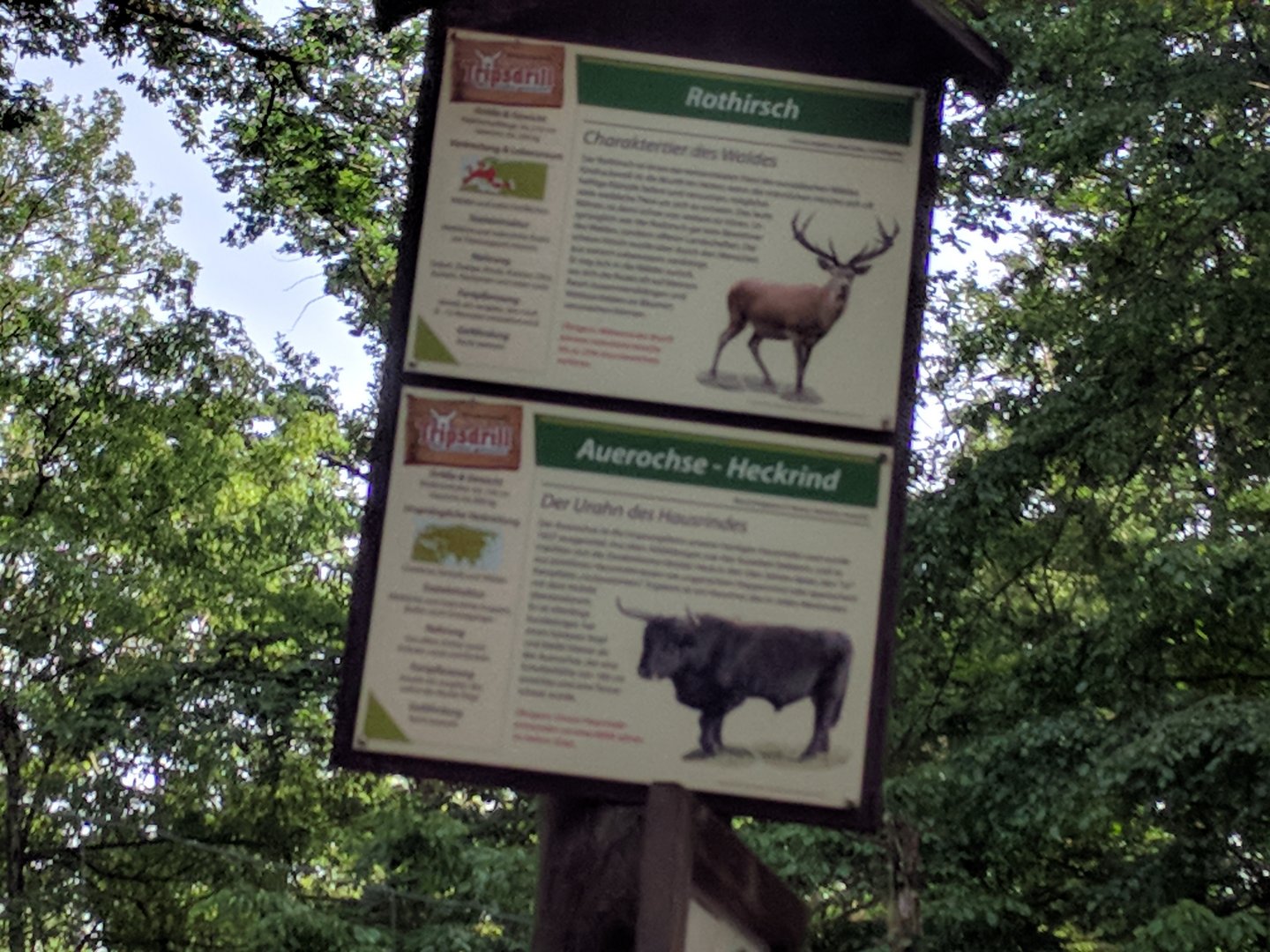 Deer Valley Signage