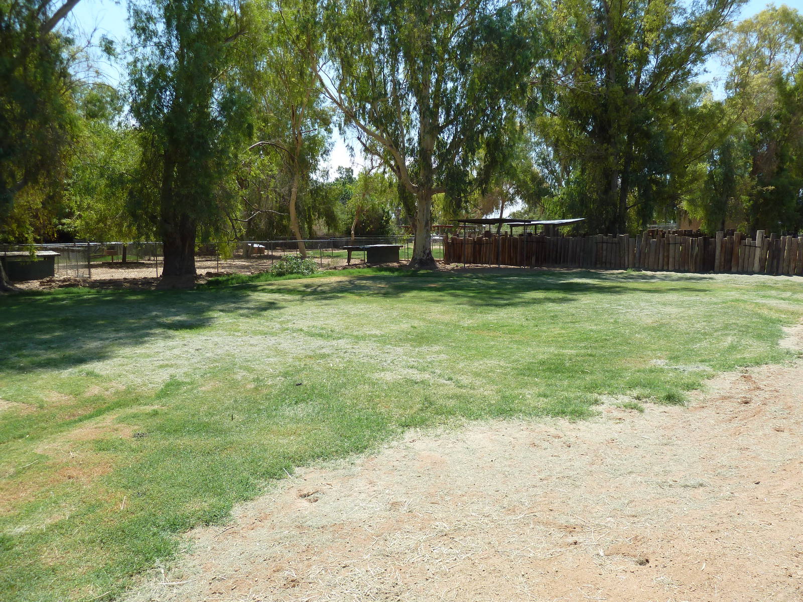 Defassa Waterbuck Exhibit