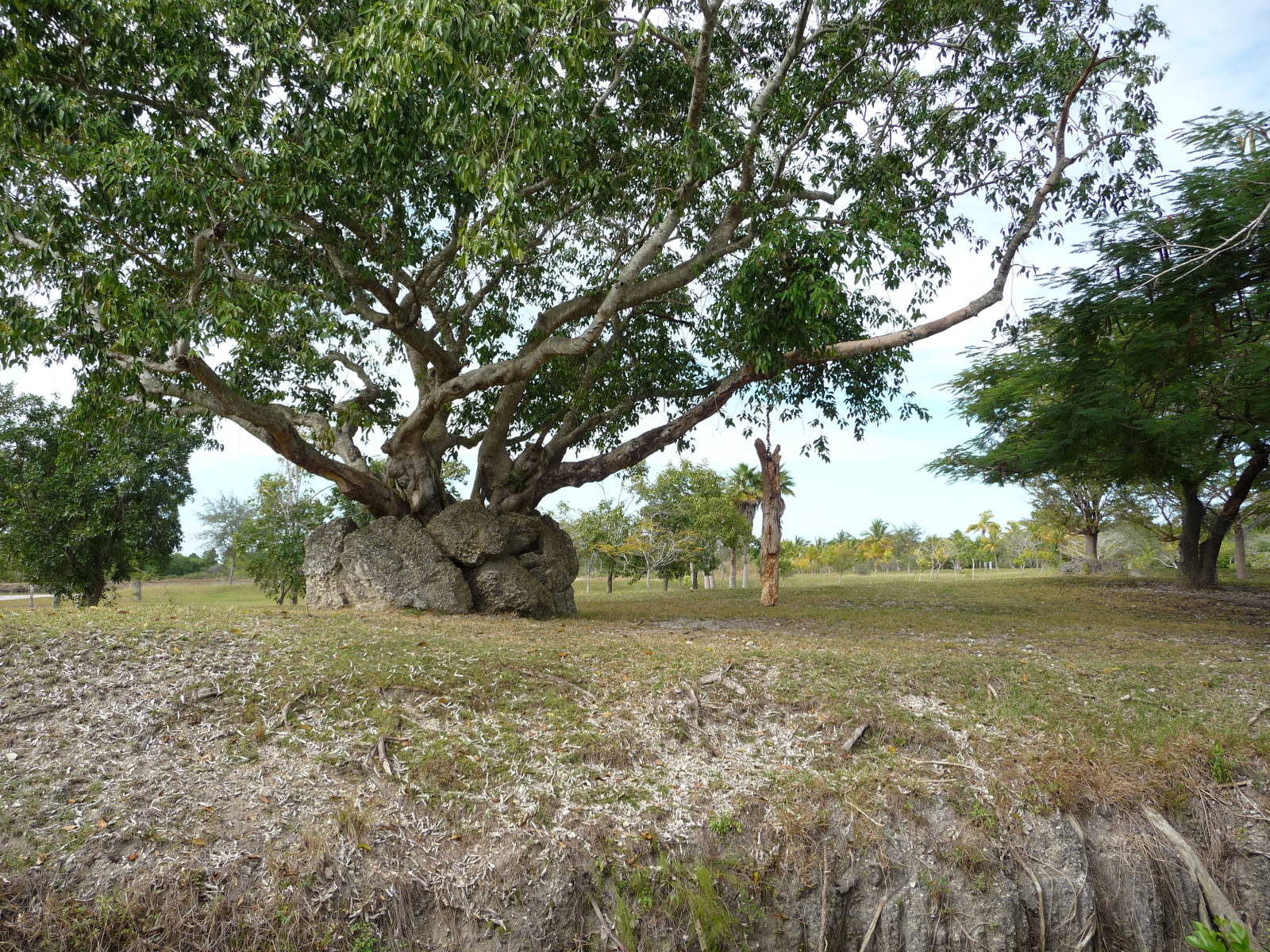Defassa Waterbuck/Giant Eland Paddock