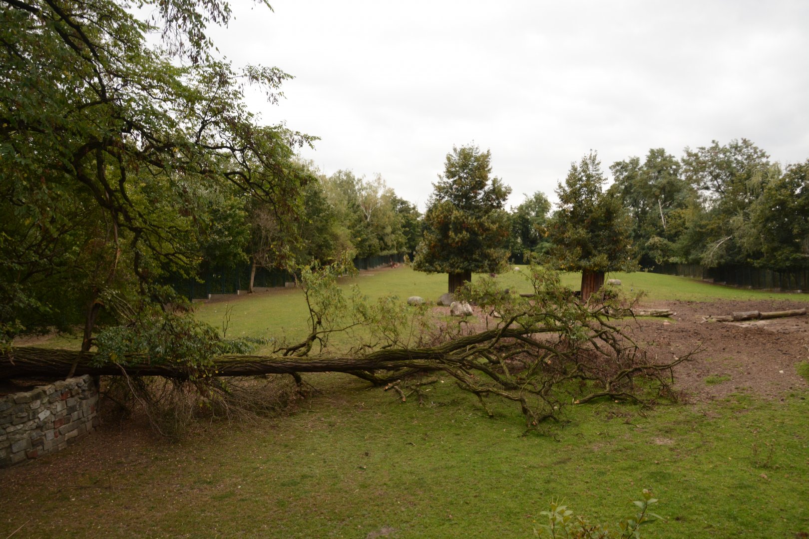 Defassa Waterbuck & Sitatunga paddock