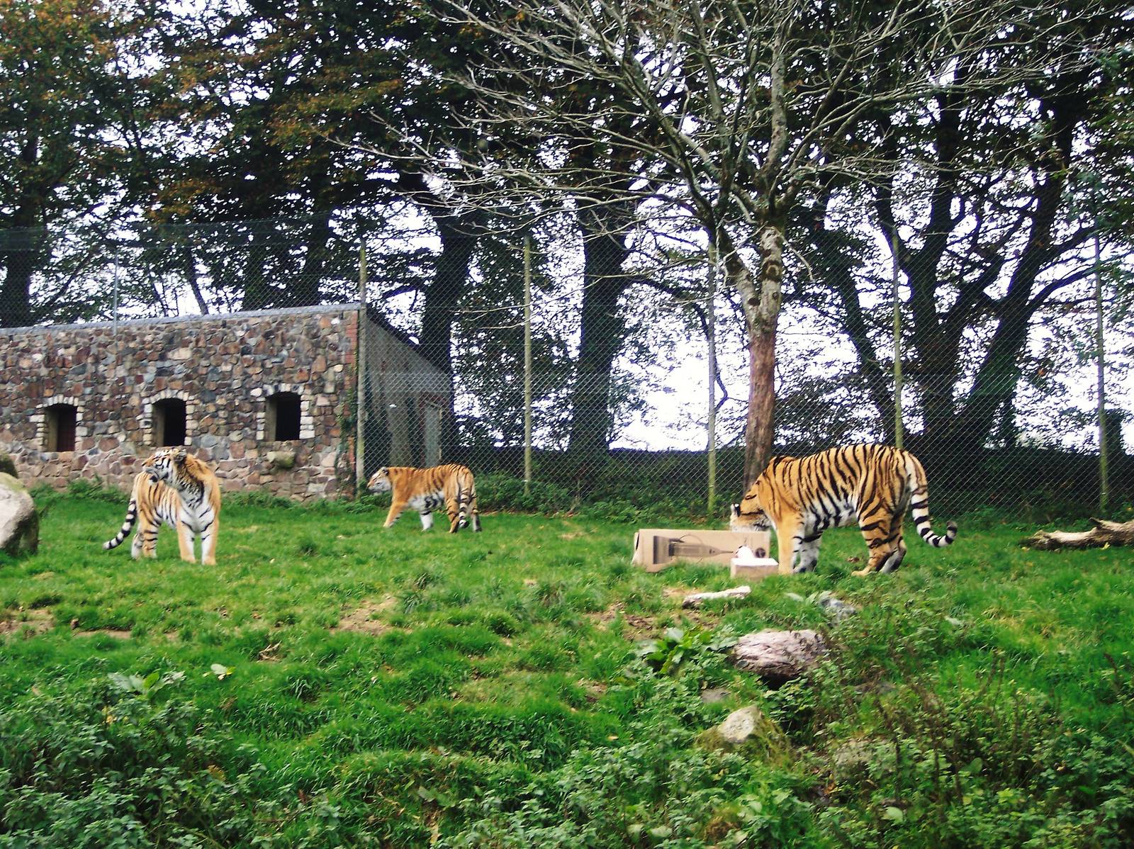 Definitely not the Giraffe Enclosure