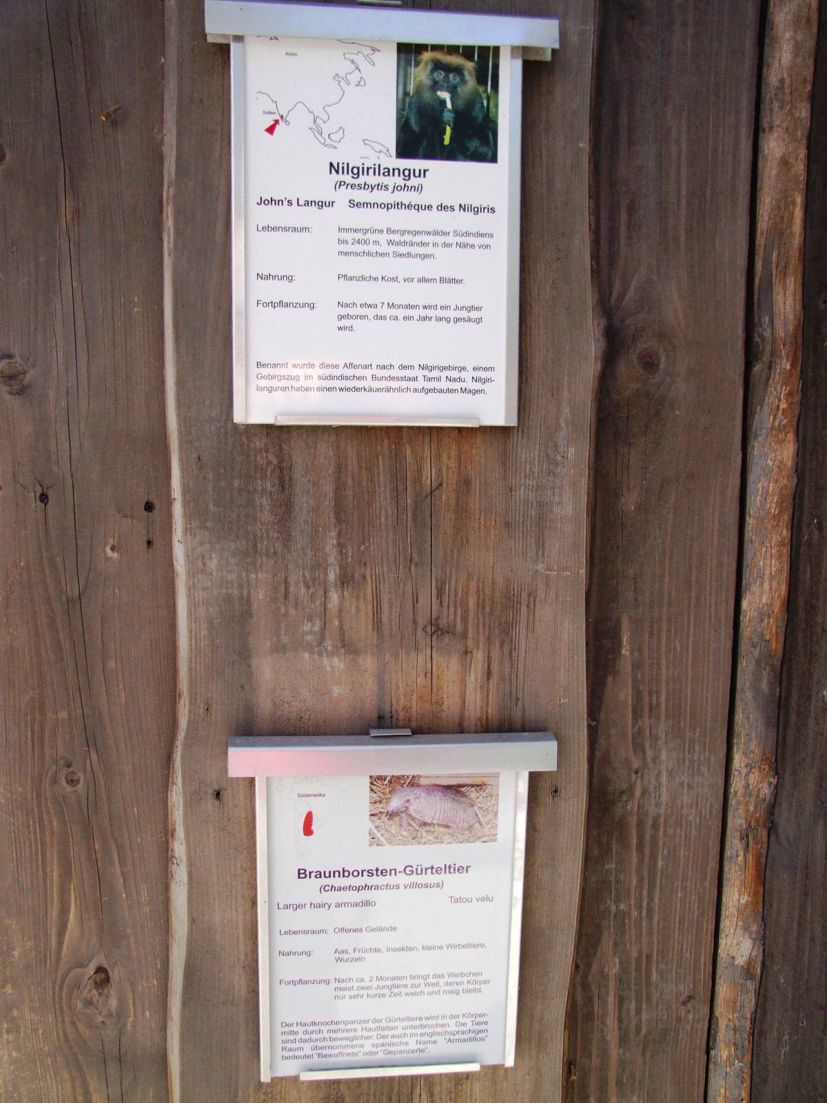 Definitely Unique Mixed Exhibit at Erfurt, 18/03/15