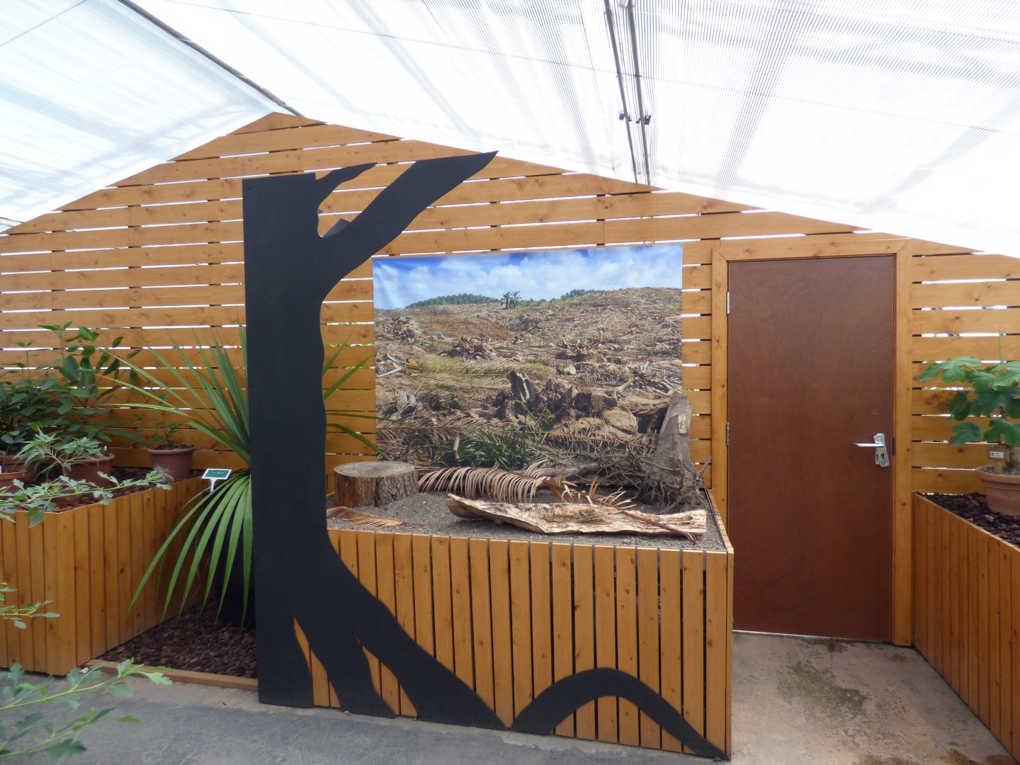 Deforestation display in 'The Plant Project'