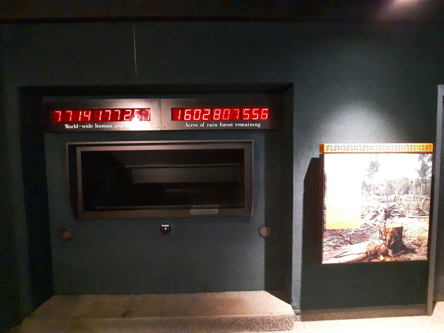 Deforestation Display