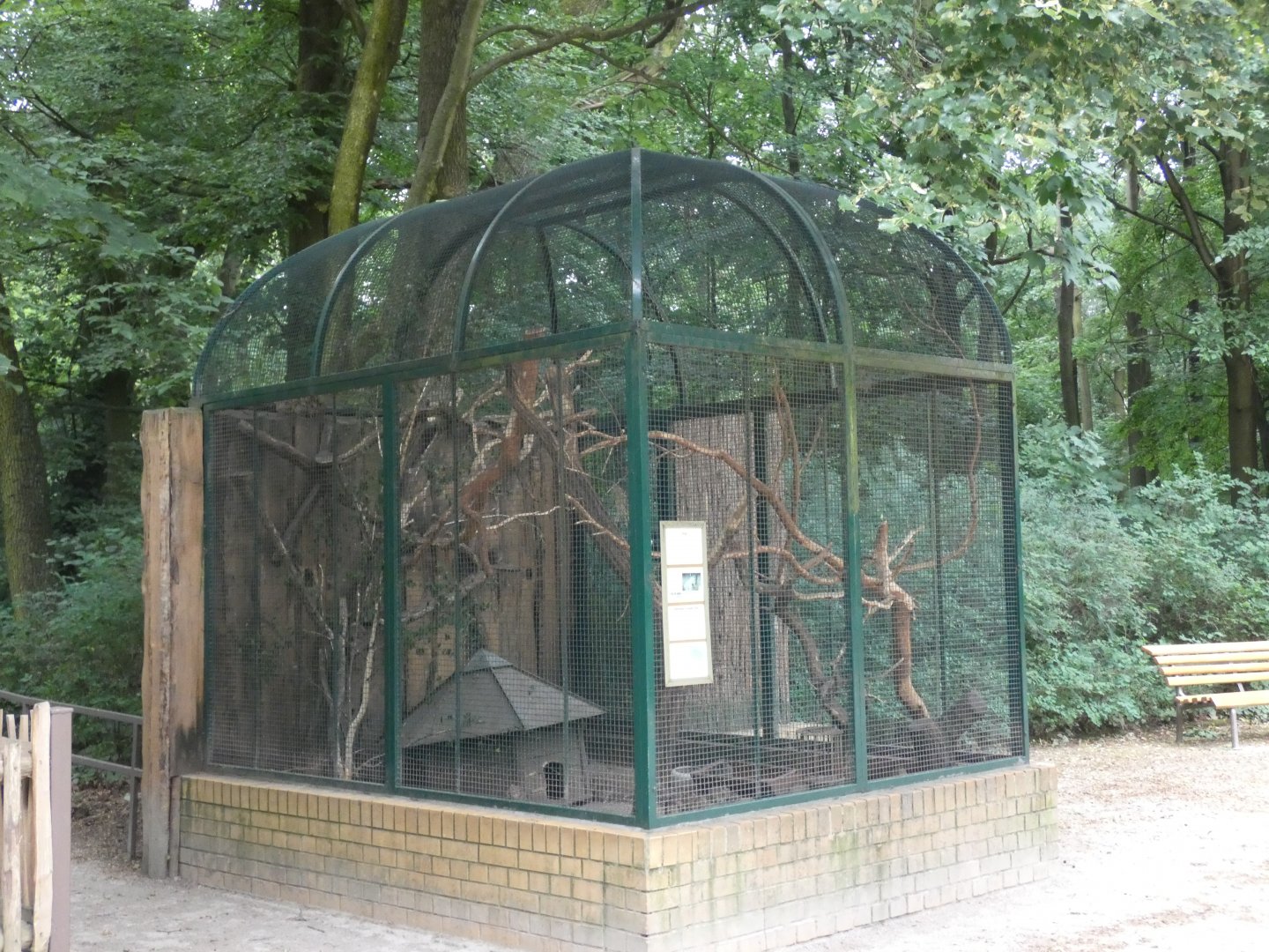 Degu and Brazilian Guinea Pig enclosure