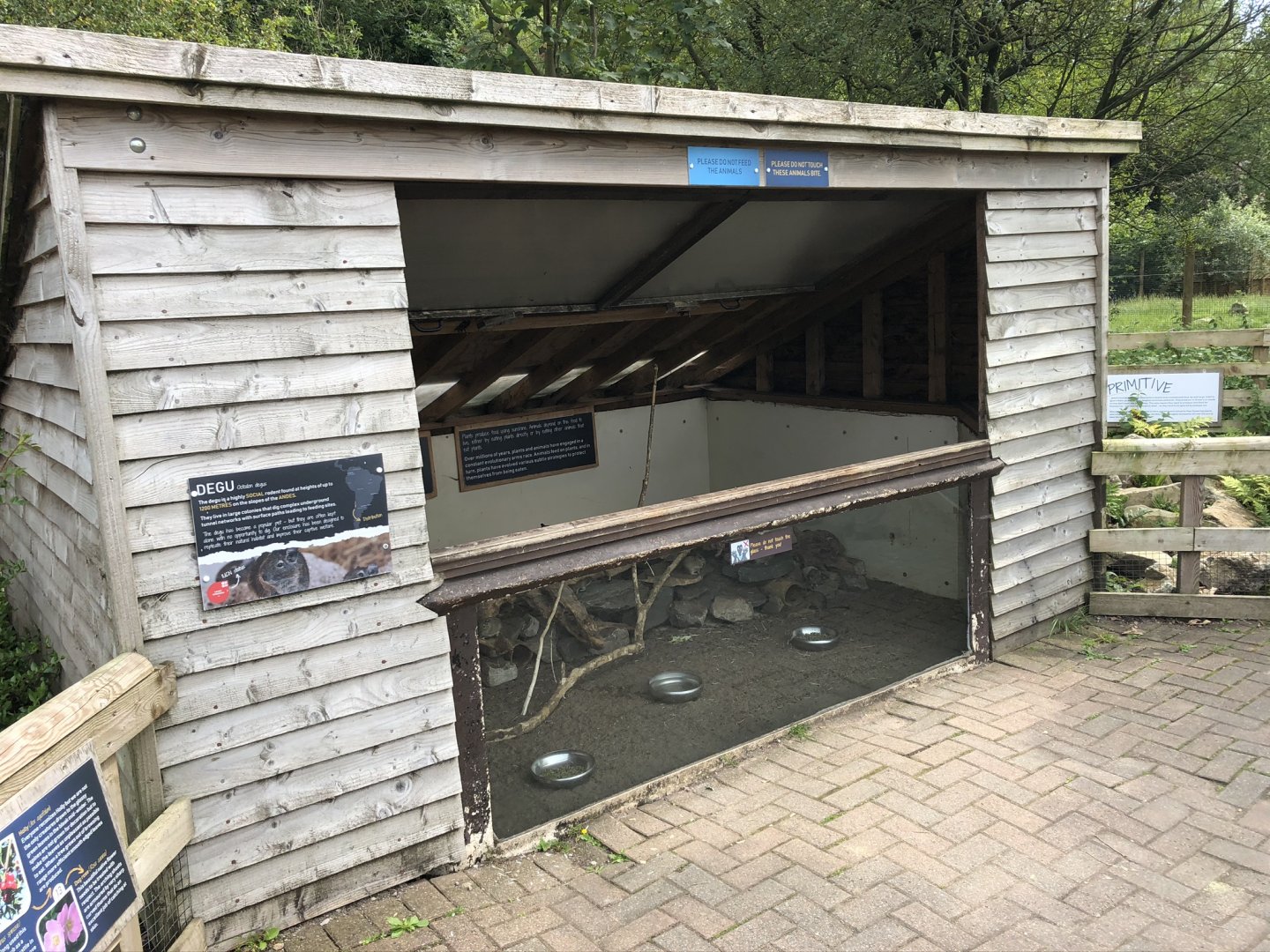 Degu Enclosure at Lakeland Wildlife Oasis (2020)