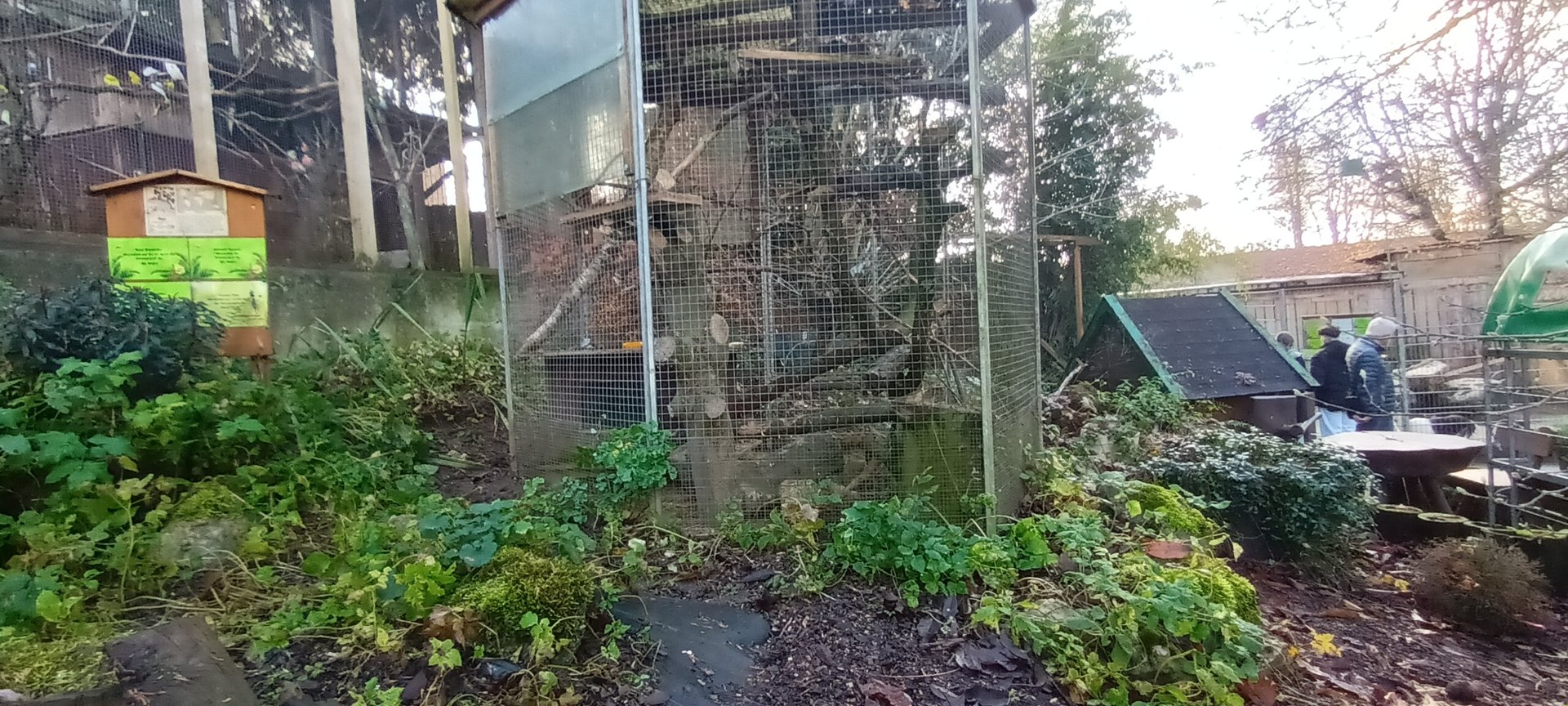 Degu Enclosure