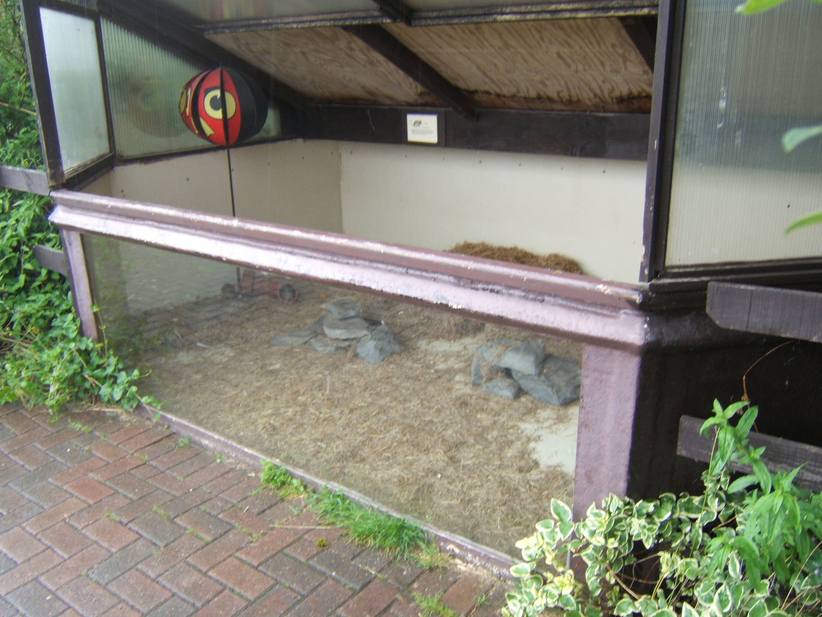 Degu enclosure