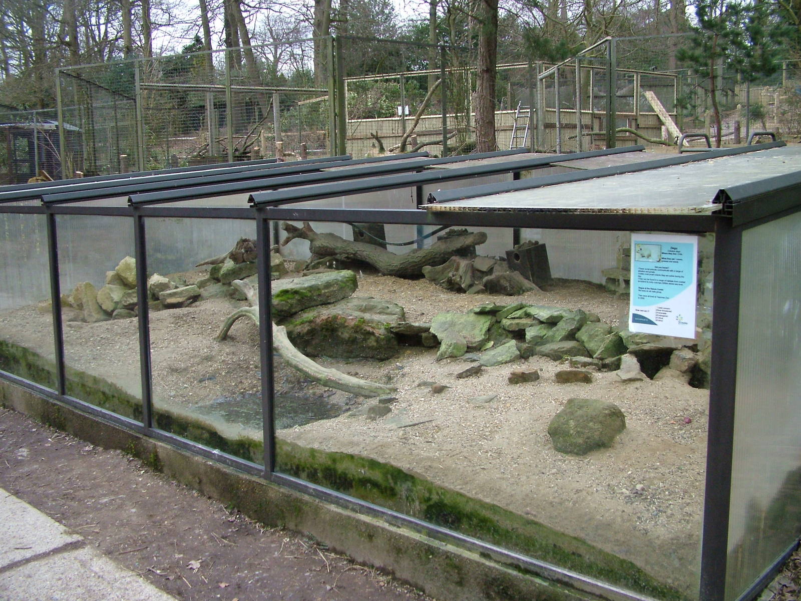 Degu exhibit at Tilgate Nature Centre 14/03/10