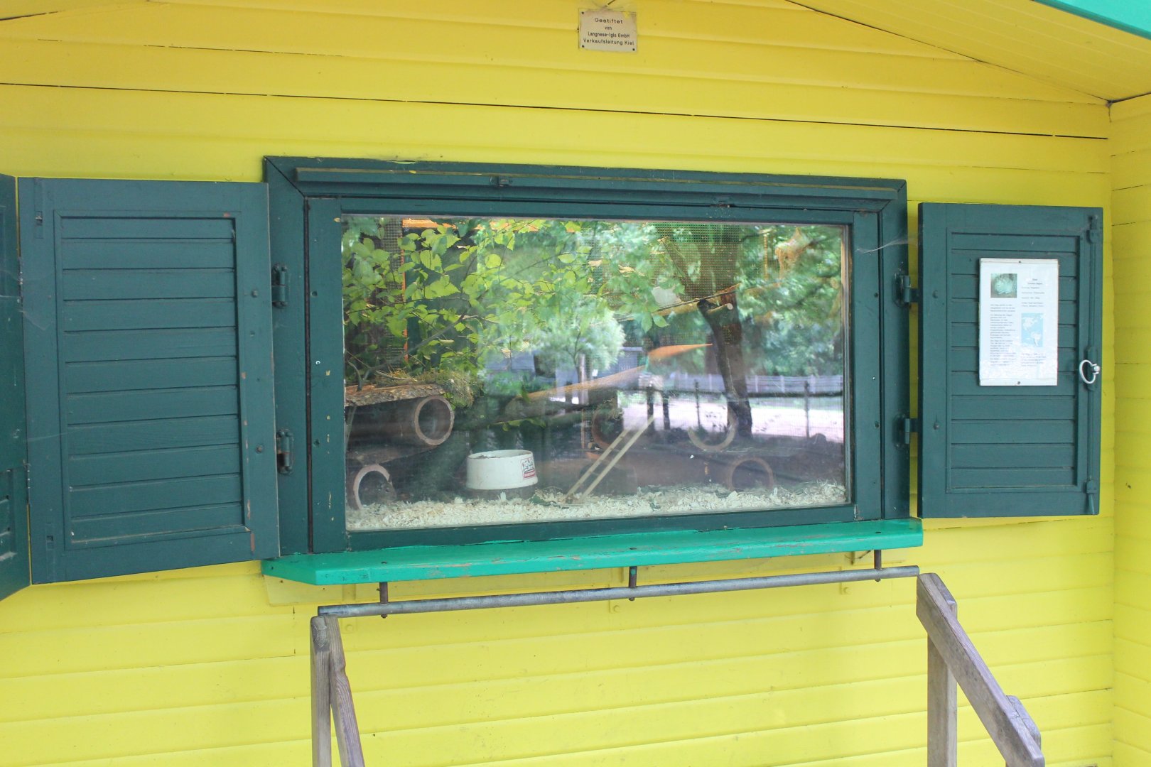 Degu-indoor-enclosure