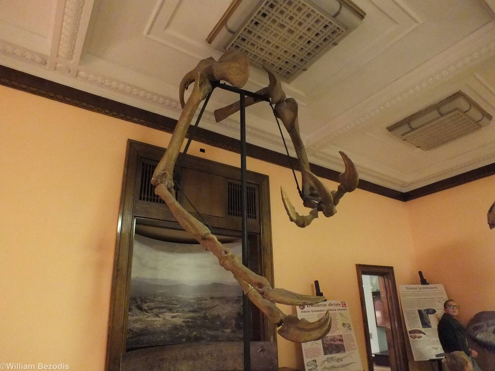 Deinocheirus mirificus - Warsaw Museum of Evolution