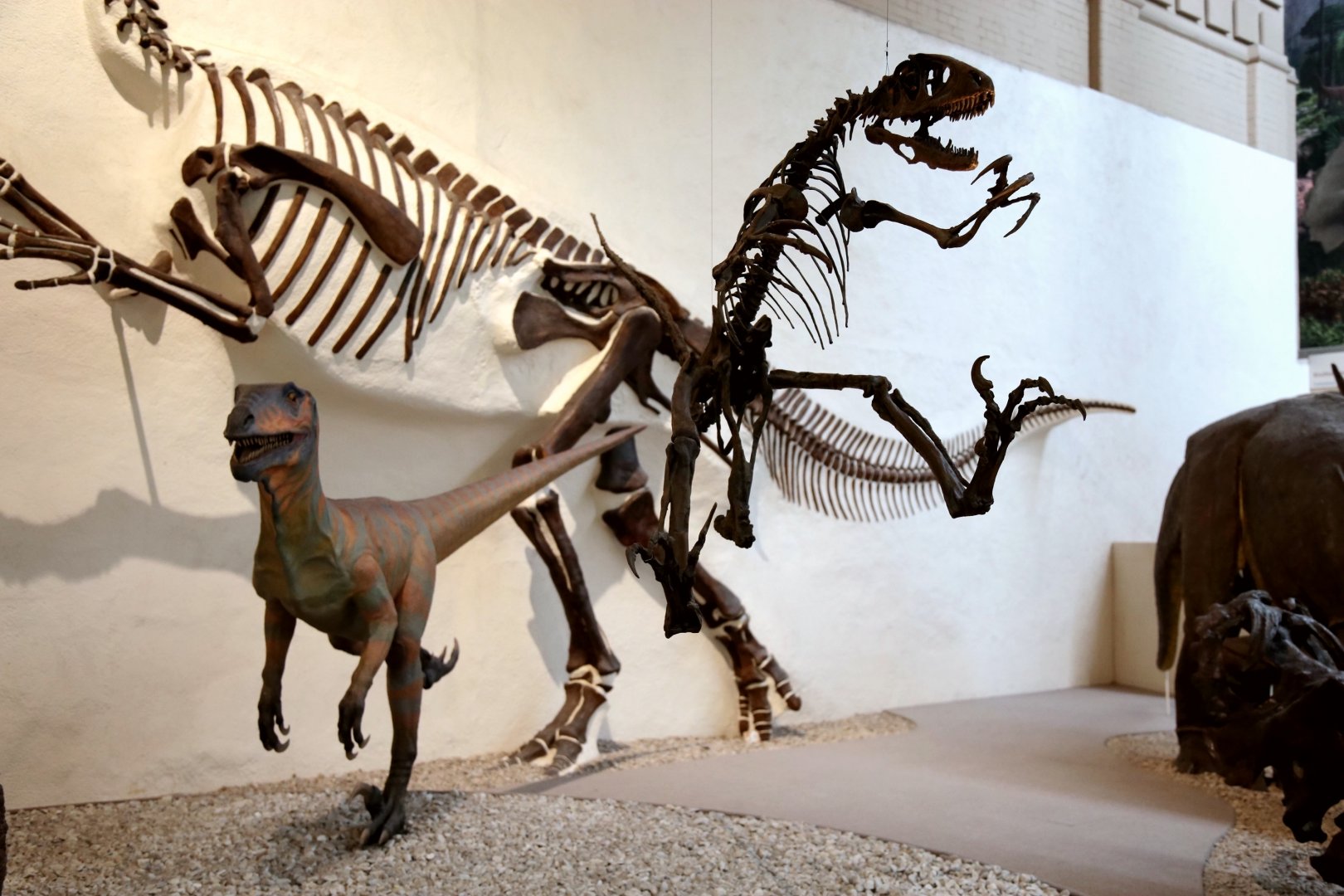 Deinonychus antirrhopus, Cast