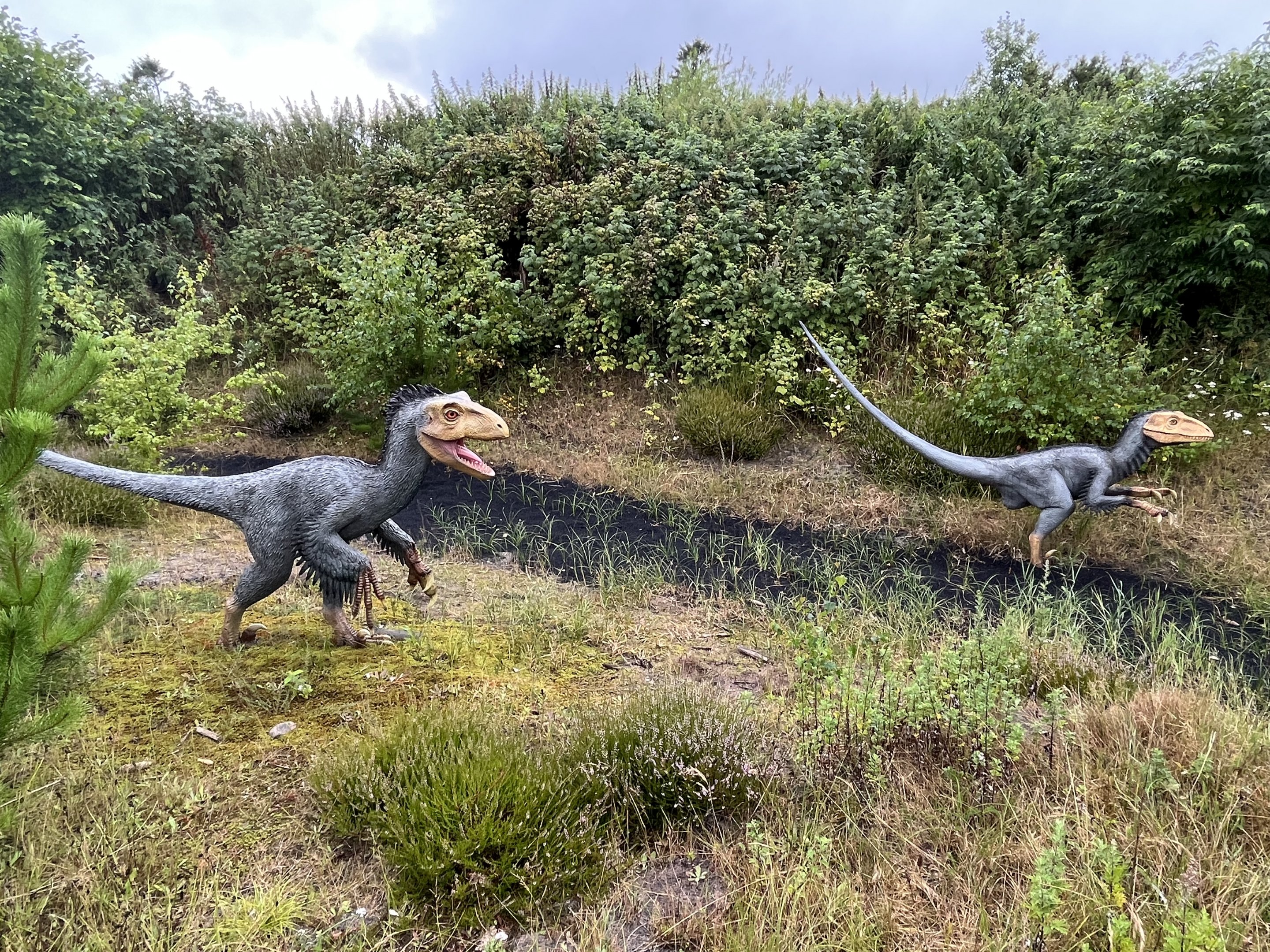 Deinonychus