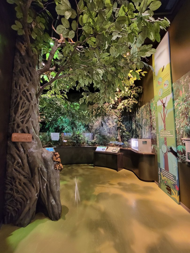 Delaware Museum of Science & Nature - Amazon Rainforest (Climate Changes Everything)