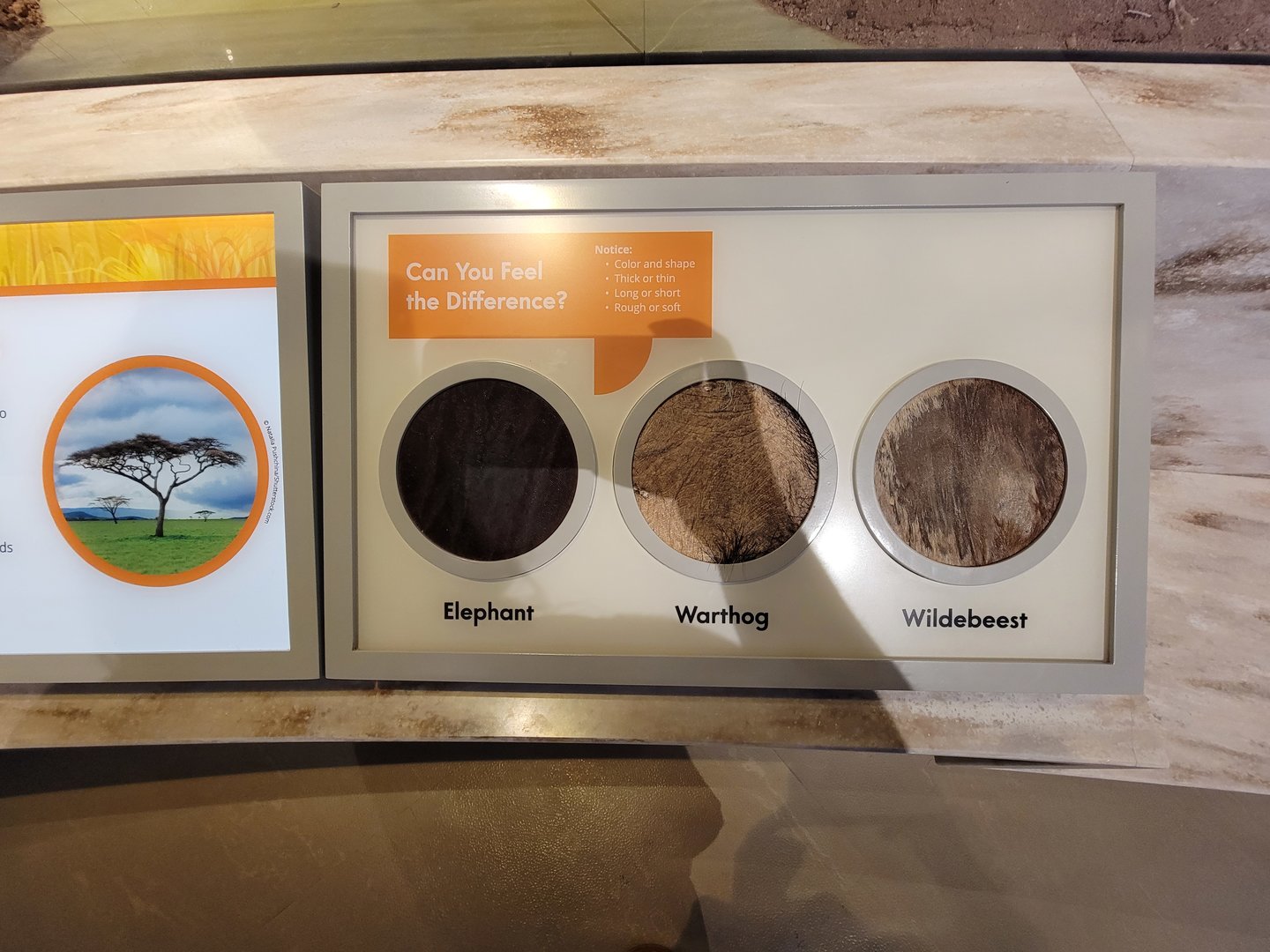 Delaware Museum of Science & Nature - Can you feel the difference? Touch pelts (Climate Changes Everything)