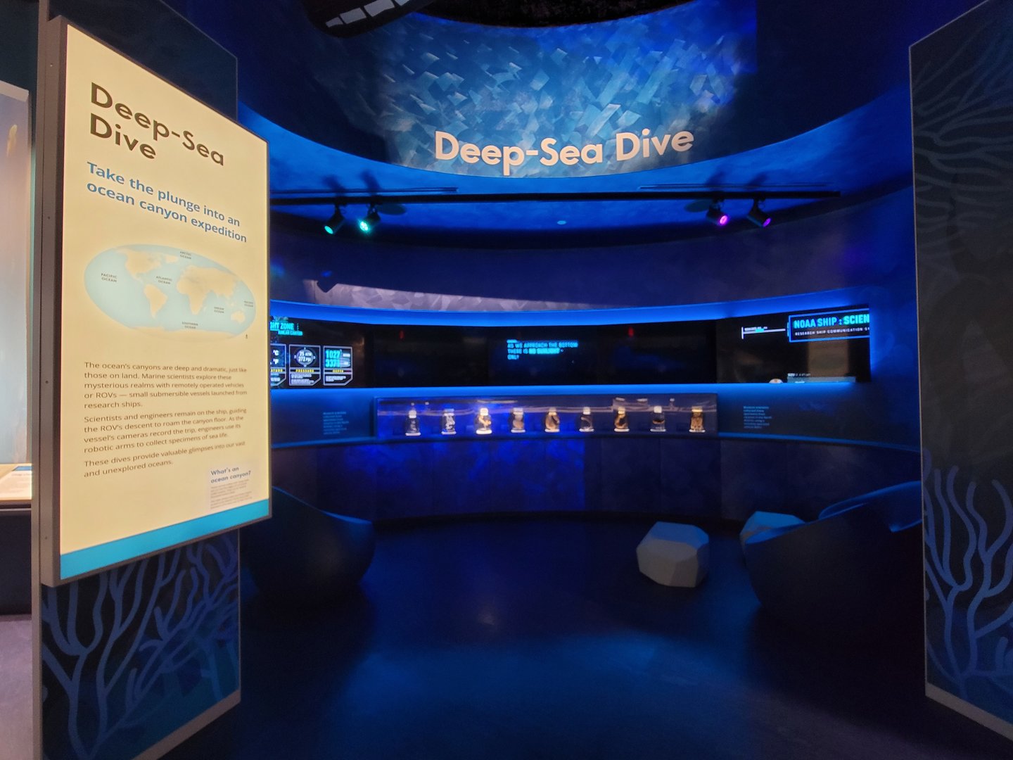 Delaware Museum of Science & Nature - Deep Sea Dive interactive movie and specimens