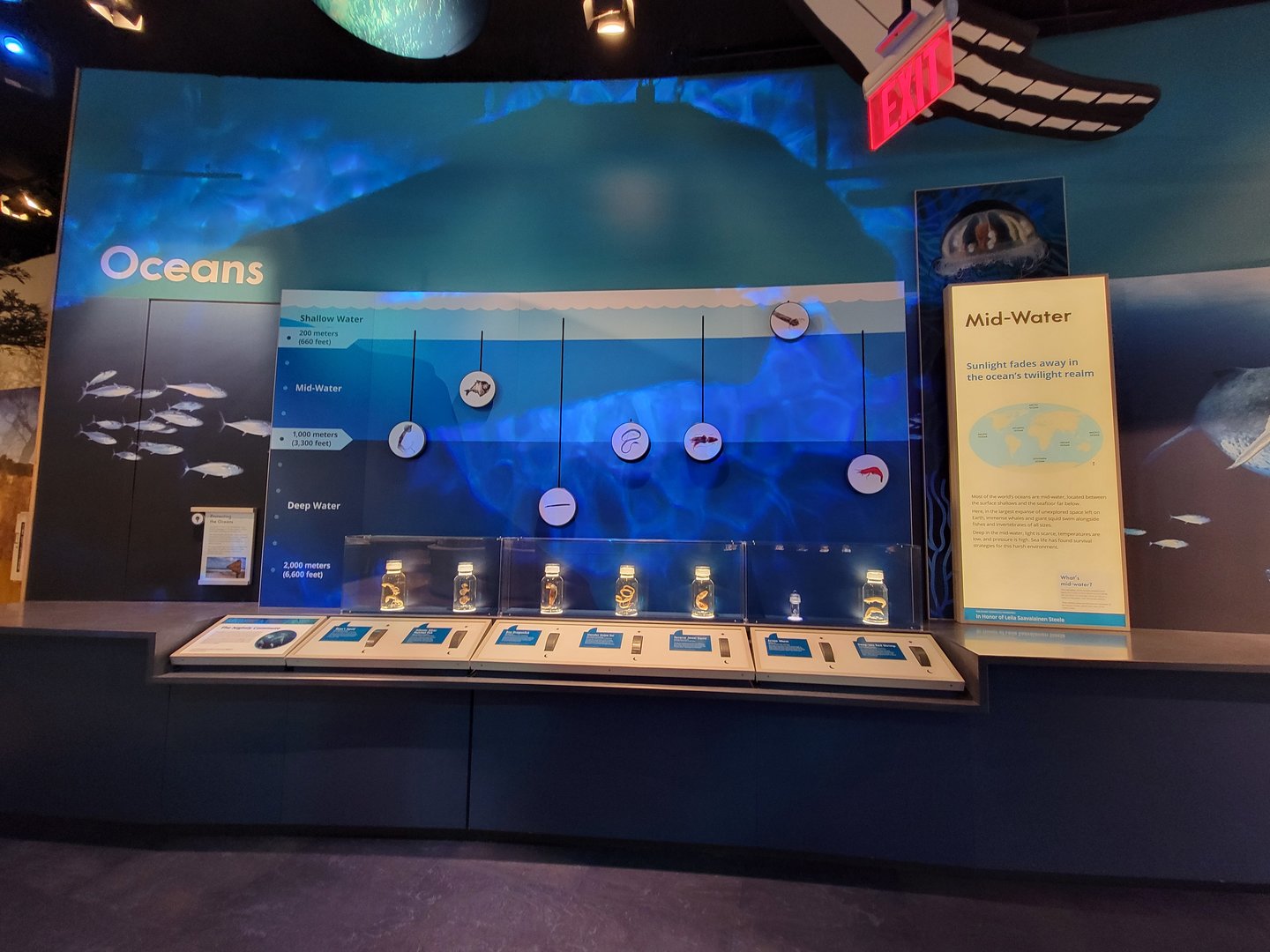 Delaware Museum of Science & Nature - Mid-water specimens (Climate Changes Everything)