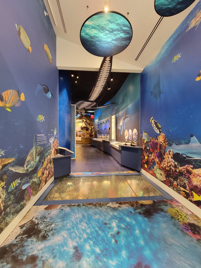 Delaware Museum of Science & Nature - Ocean entrance to Climate Changes Everything