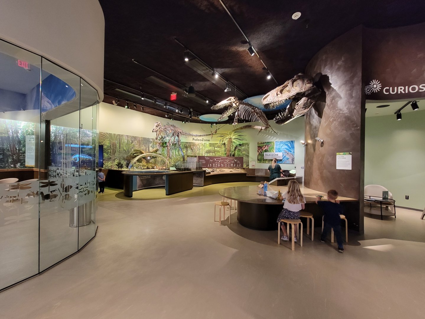 Delaware Museum of Science & Nature - PaleoZone