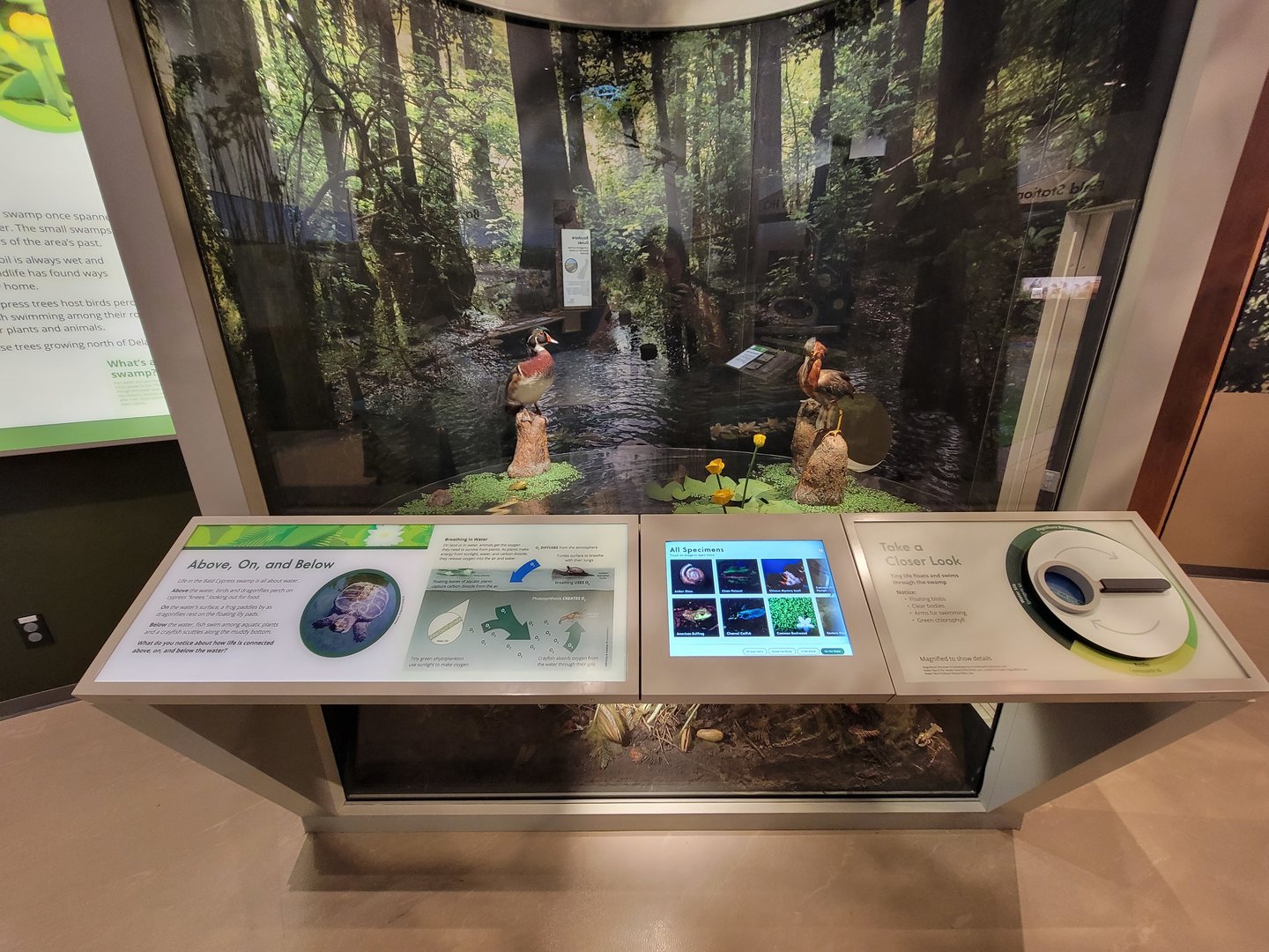 Delaware Museum of Science & Nature - Regional Journey diorama example